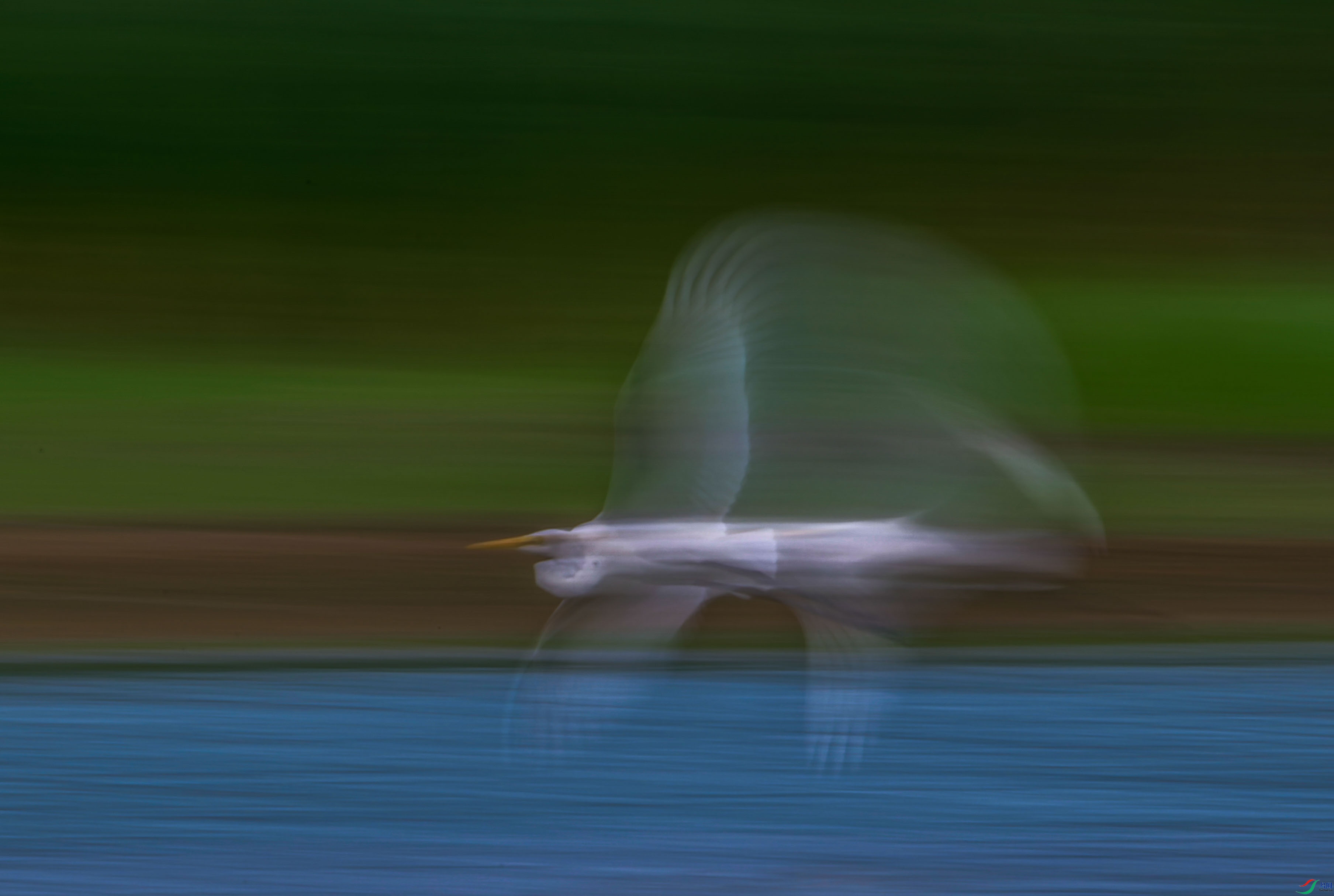 DSC_6127_1.jpg