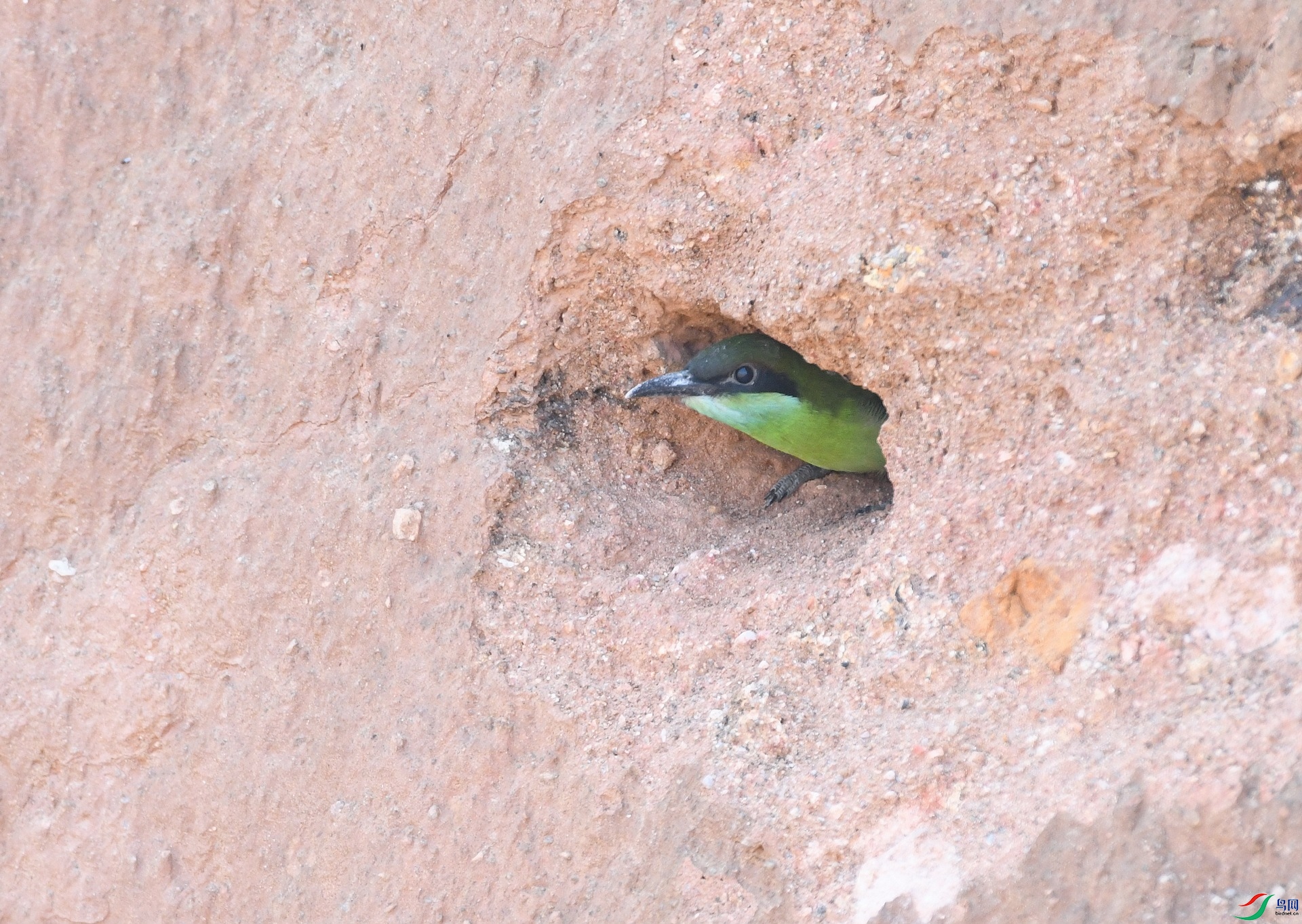 DSC_7691.jpg