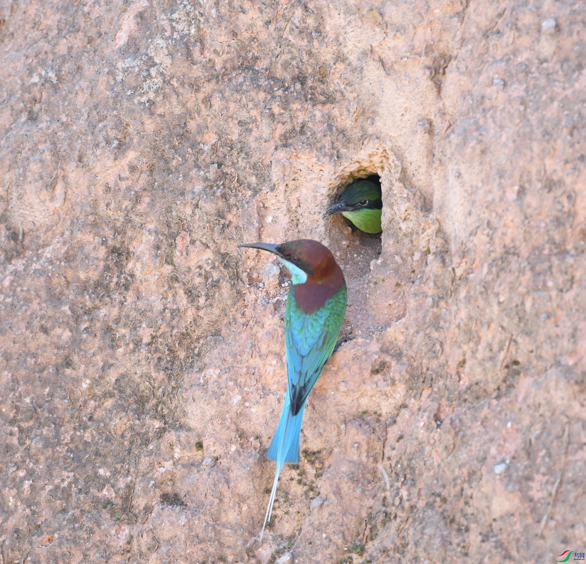 DSC_8080.jpg