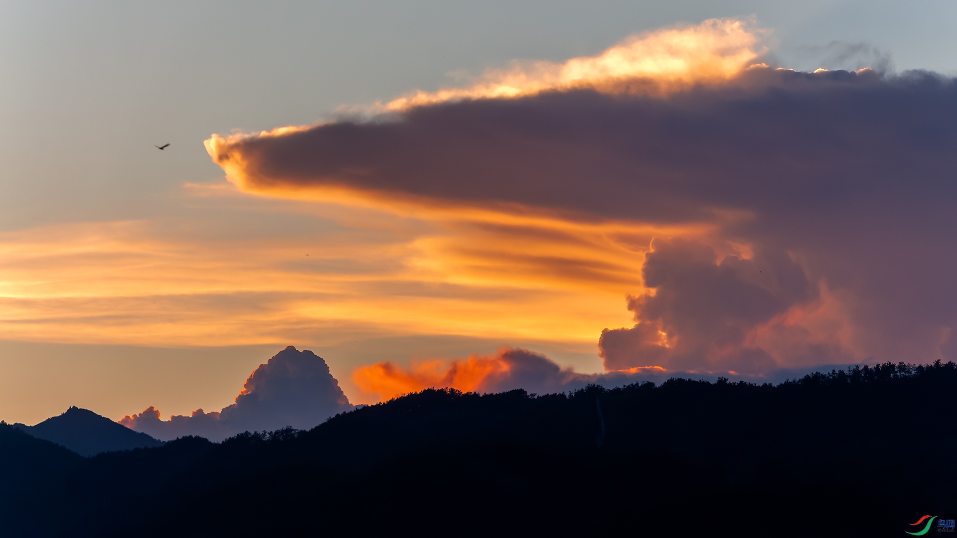 _MG_2257-CR2(1920).jpg