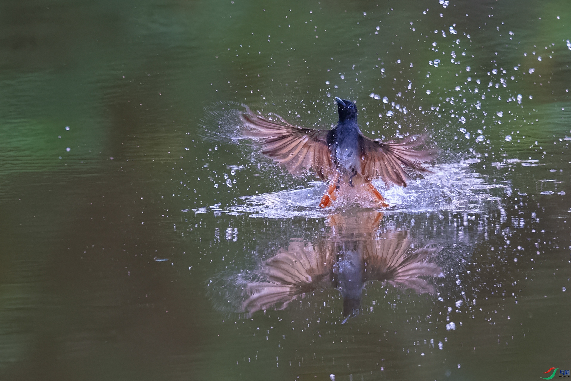 DSC_3645_DxOa.jpg