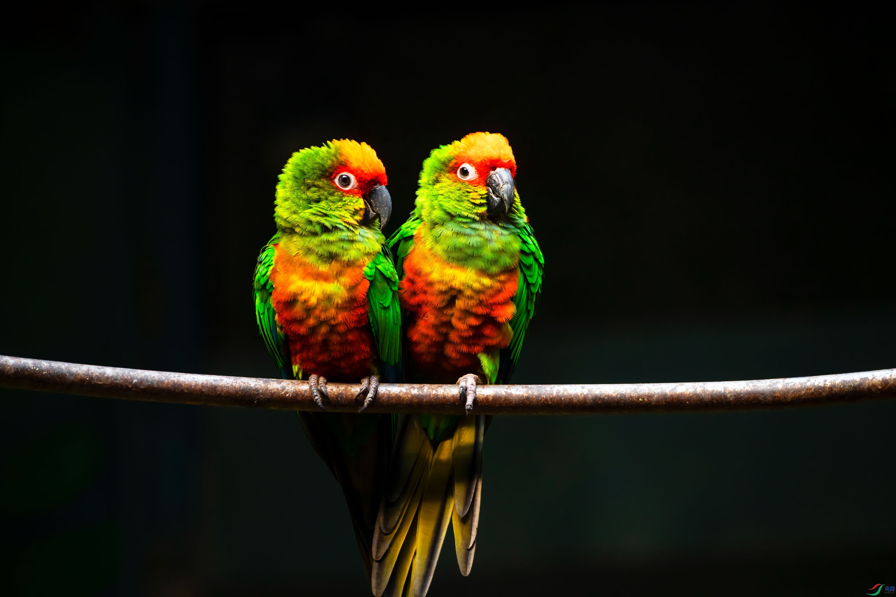 ��ñ�и�_DSC8776.jpg