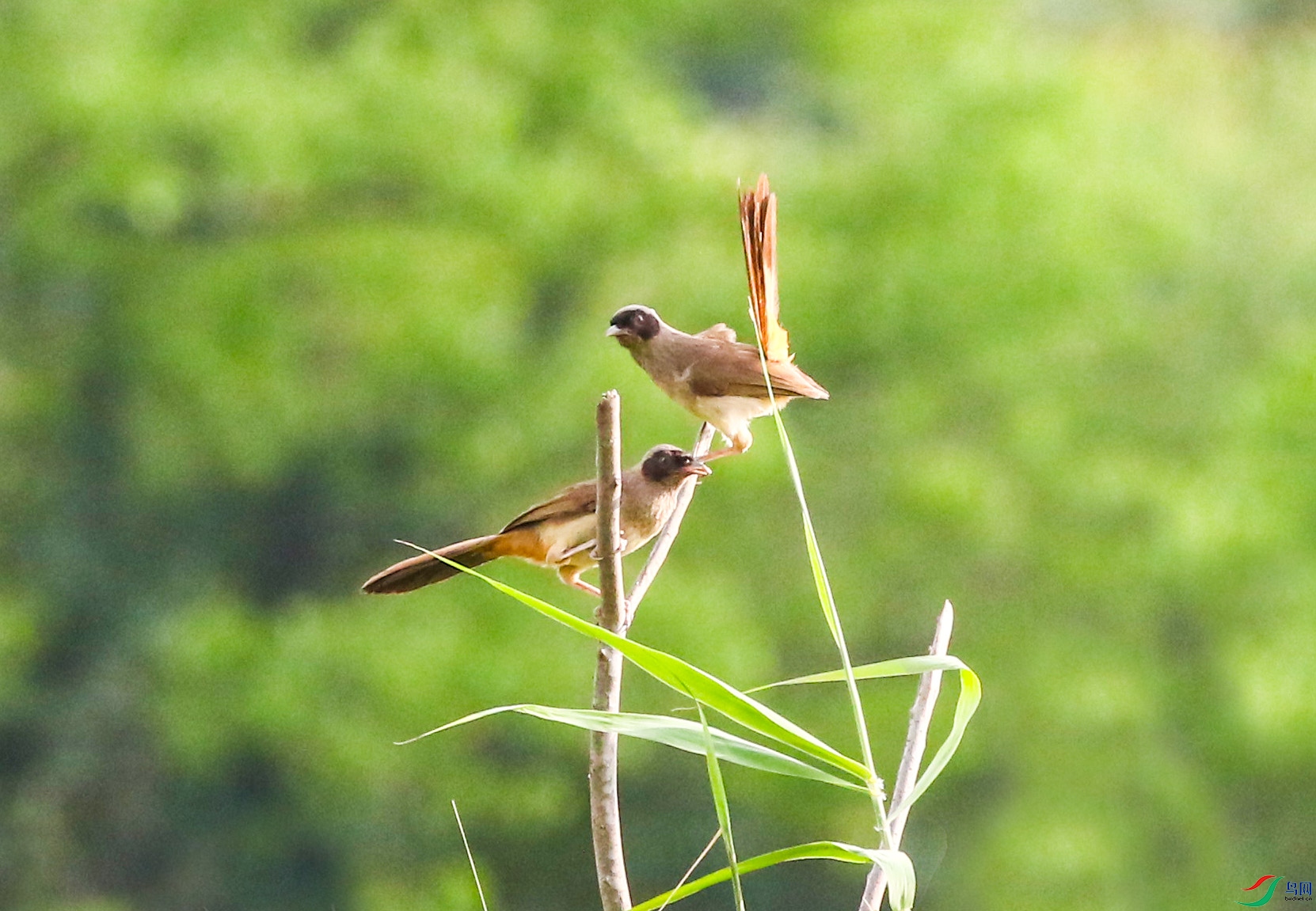 A33A5828.JPG