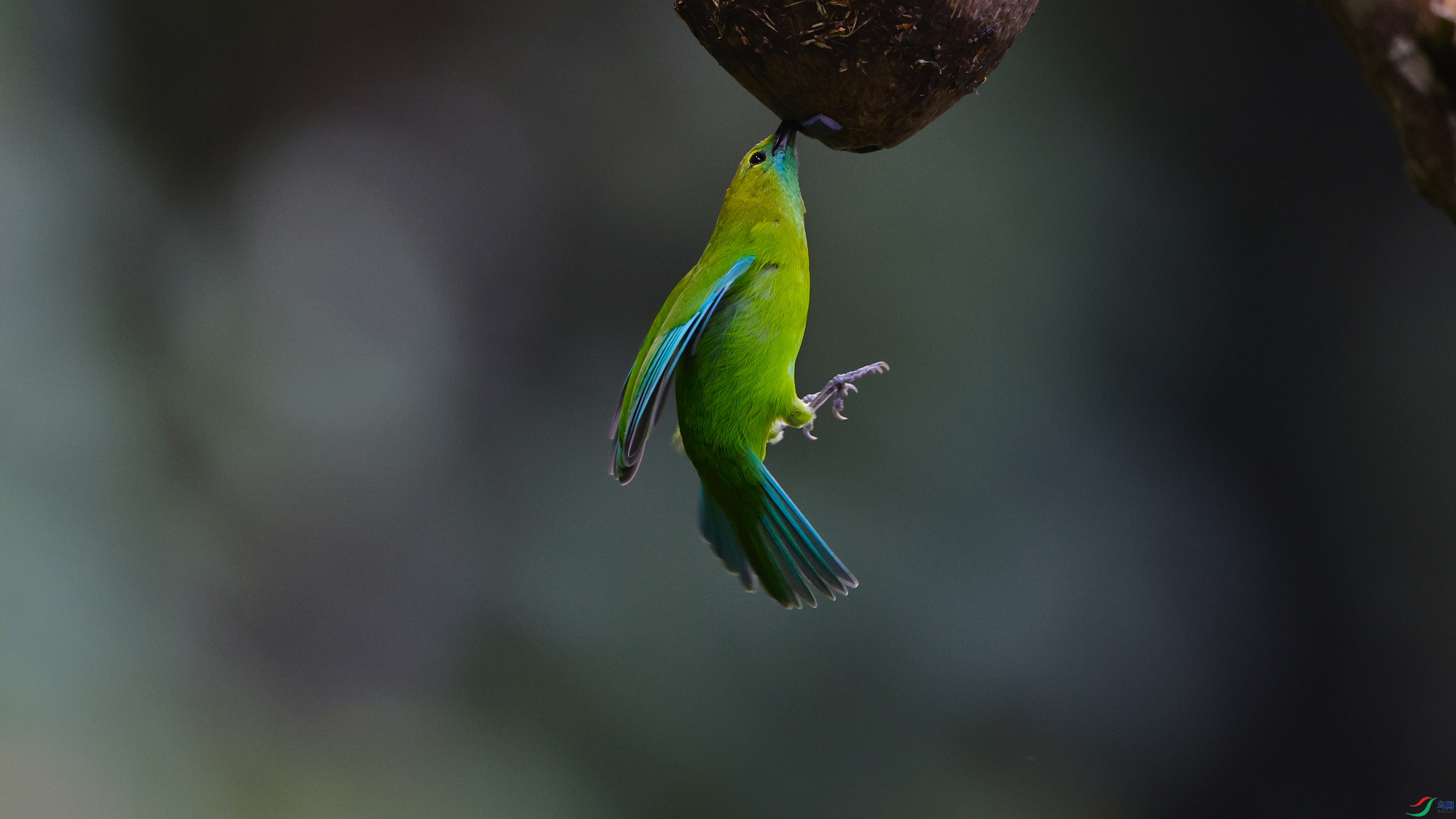 _O7A0225 ��444.jpg