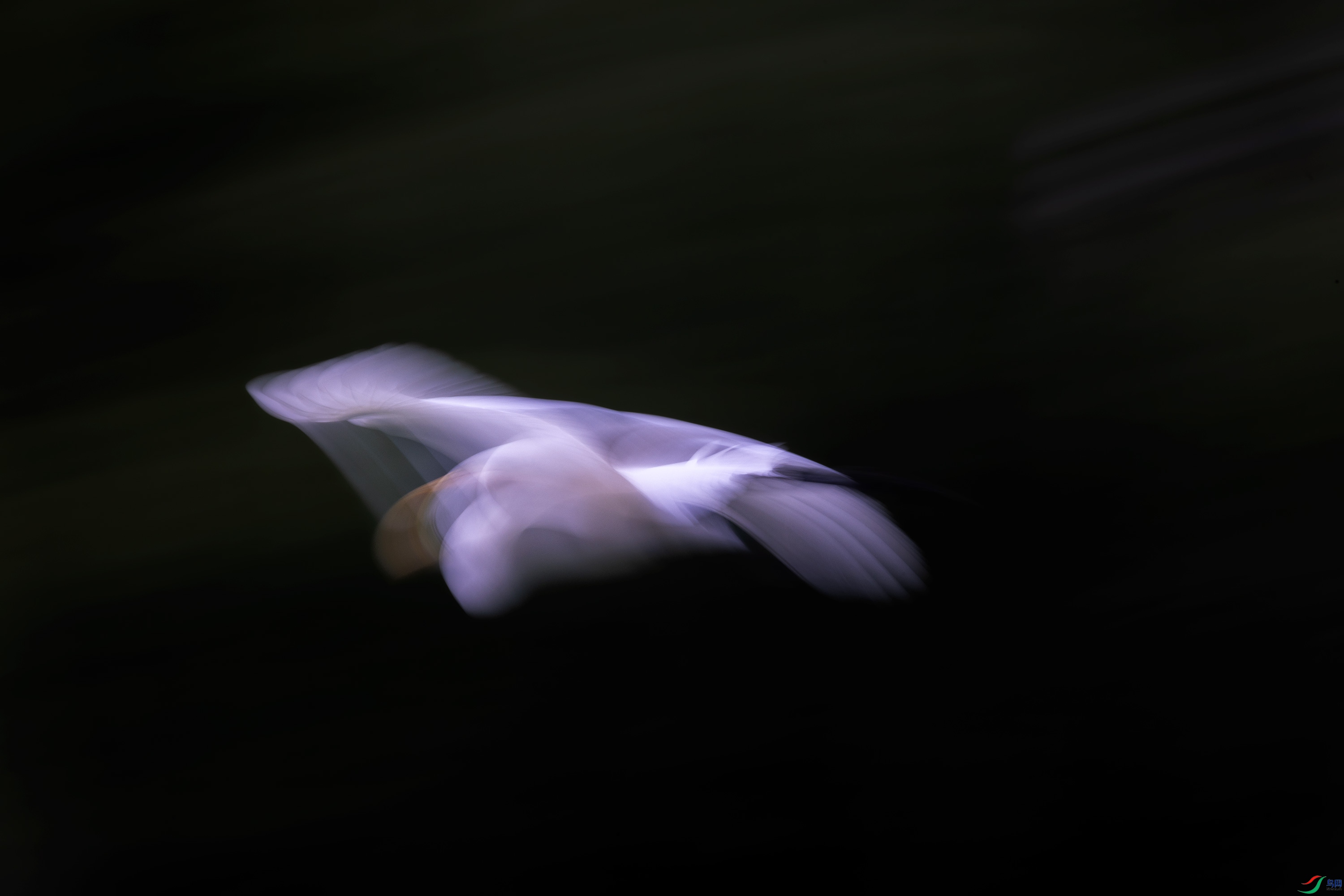 278A0298.jpg