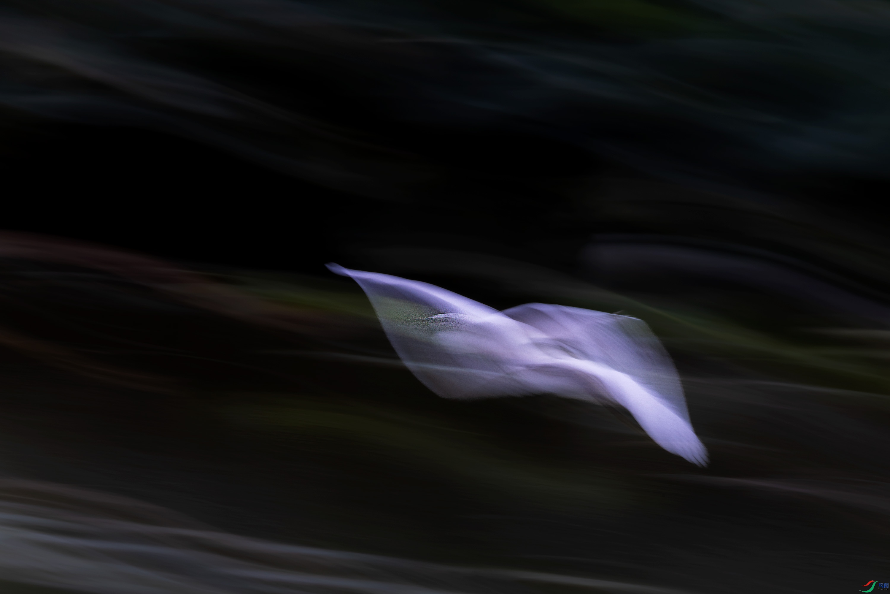 278A0874.jpg
