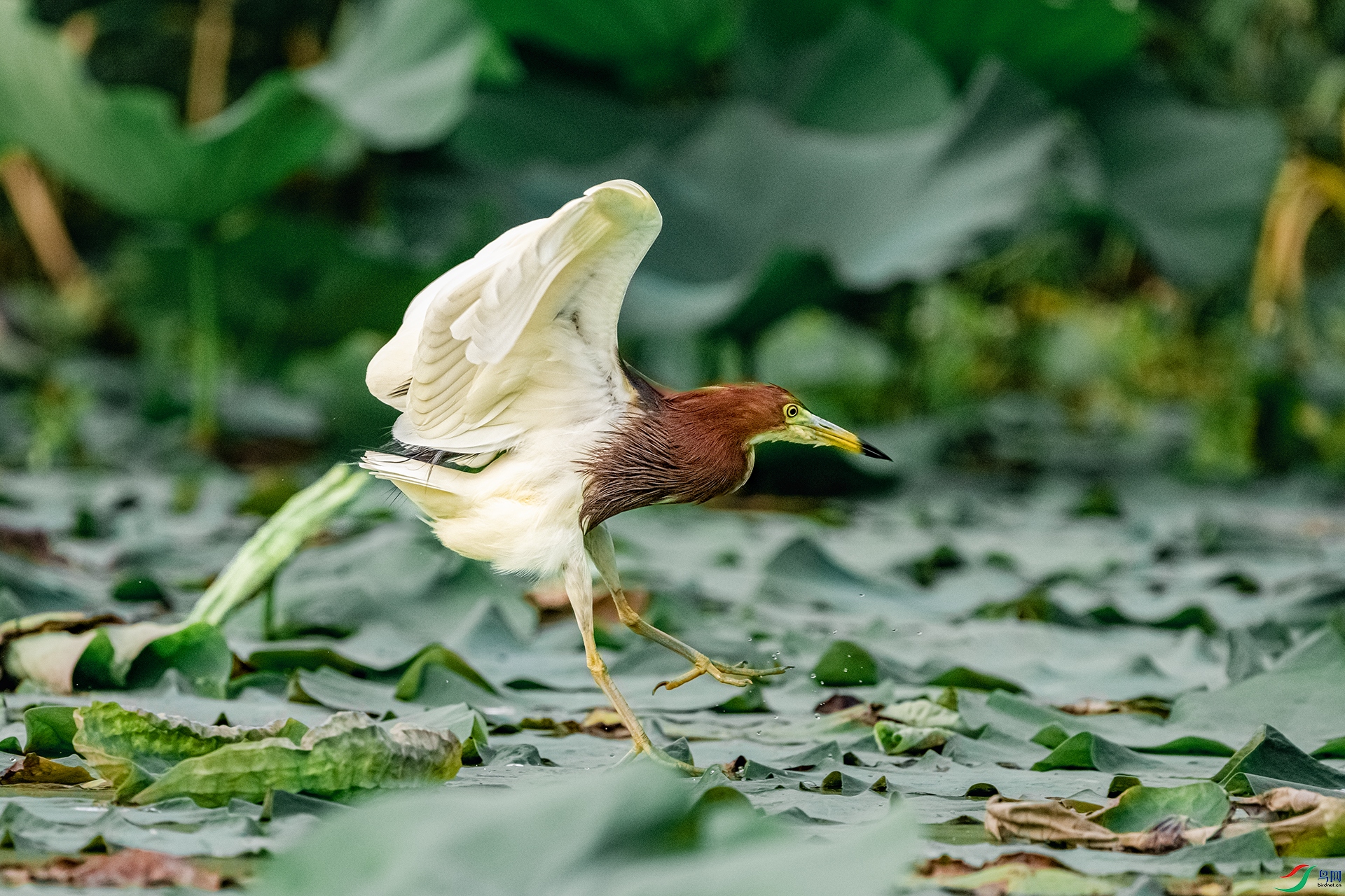 DSC_2819.jpg