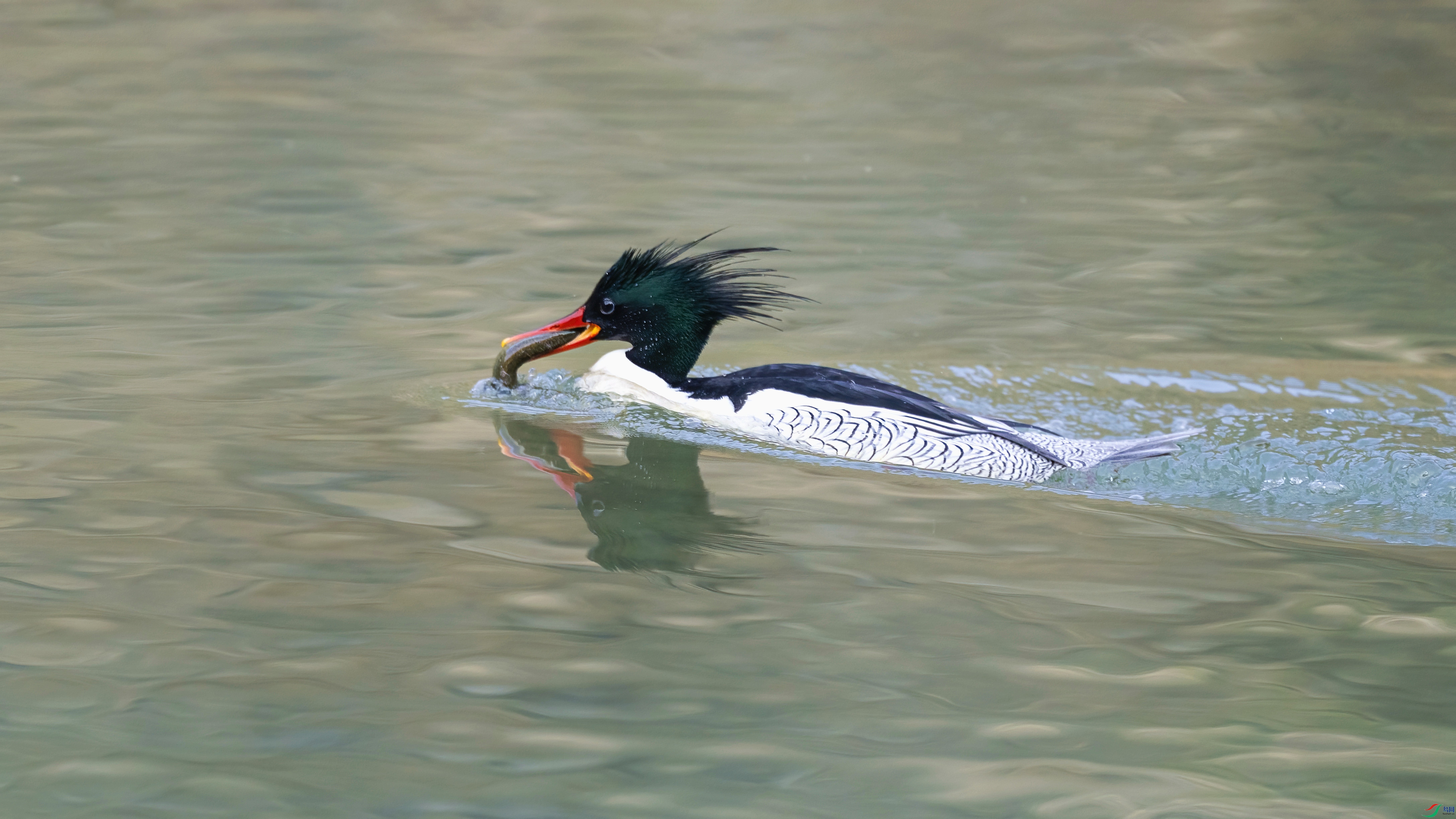 DSC_7362.jpg