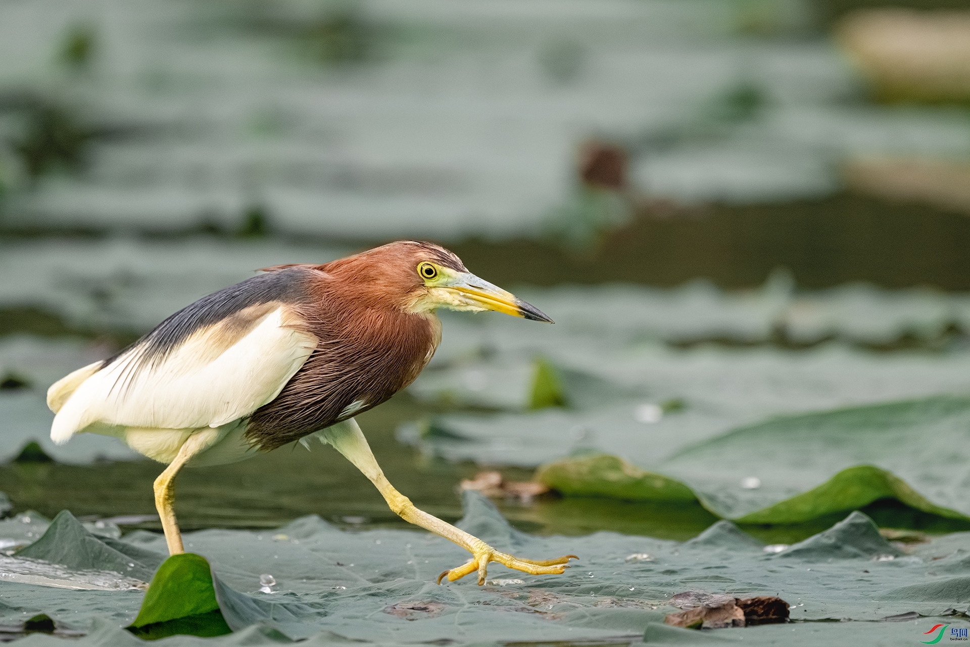 DSC_4281.jpg