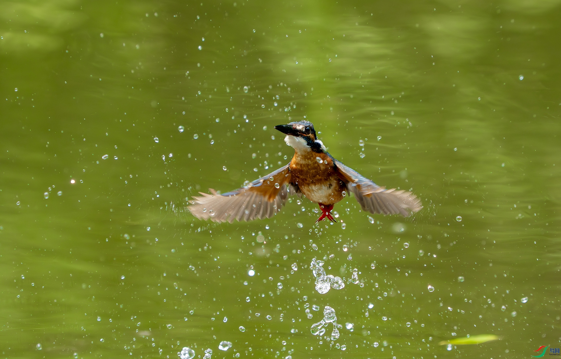 DSC04933-����ǿ-NR ����.jpg