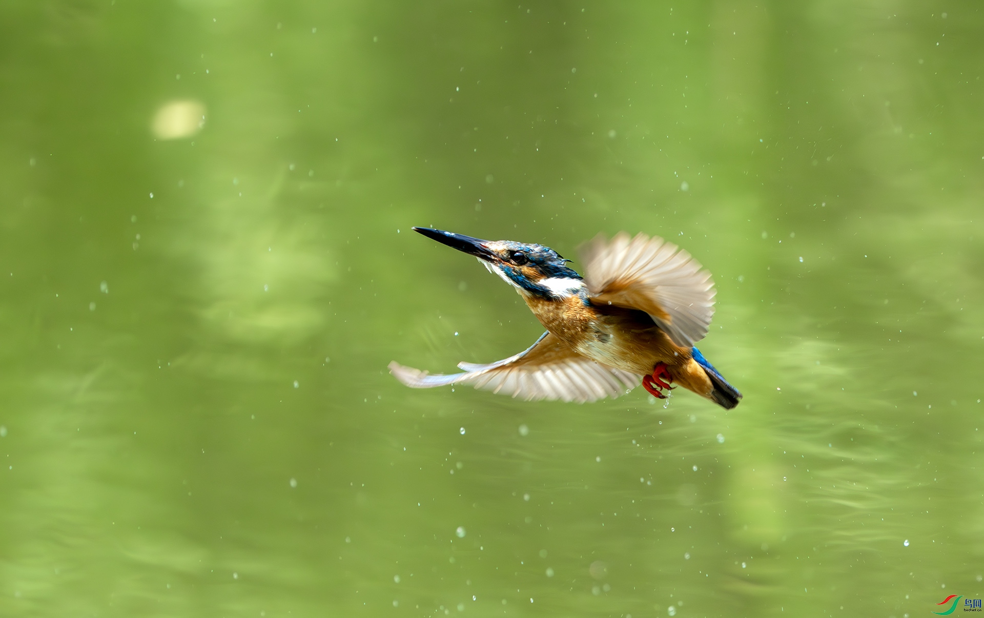 DSC04937-����ǿ-NR ����.jpg