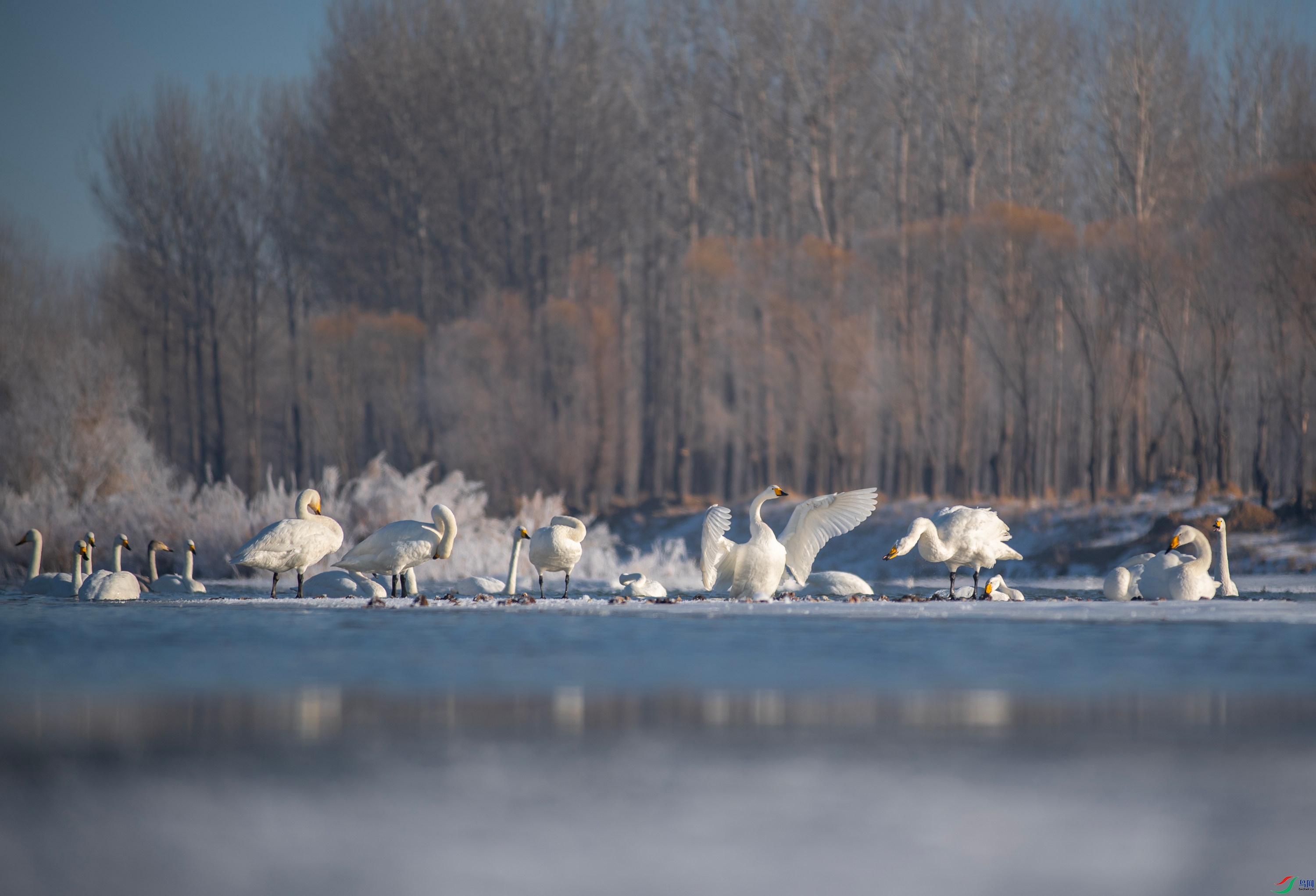 _DSC7107_����.jpg