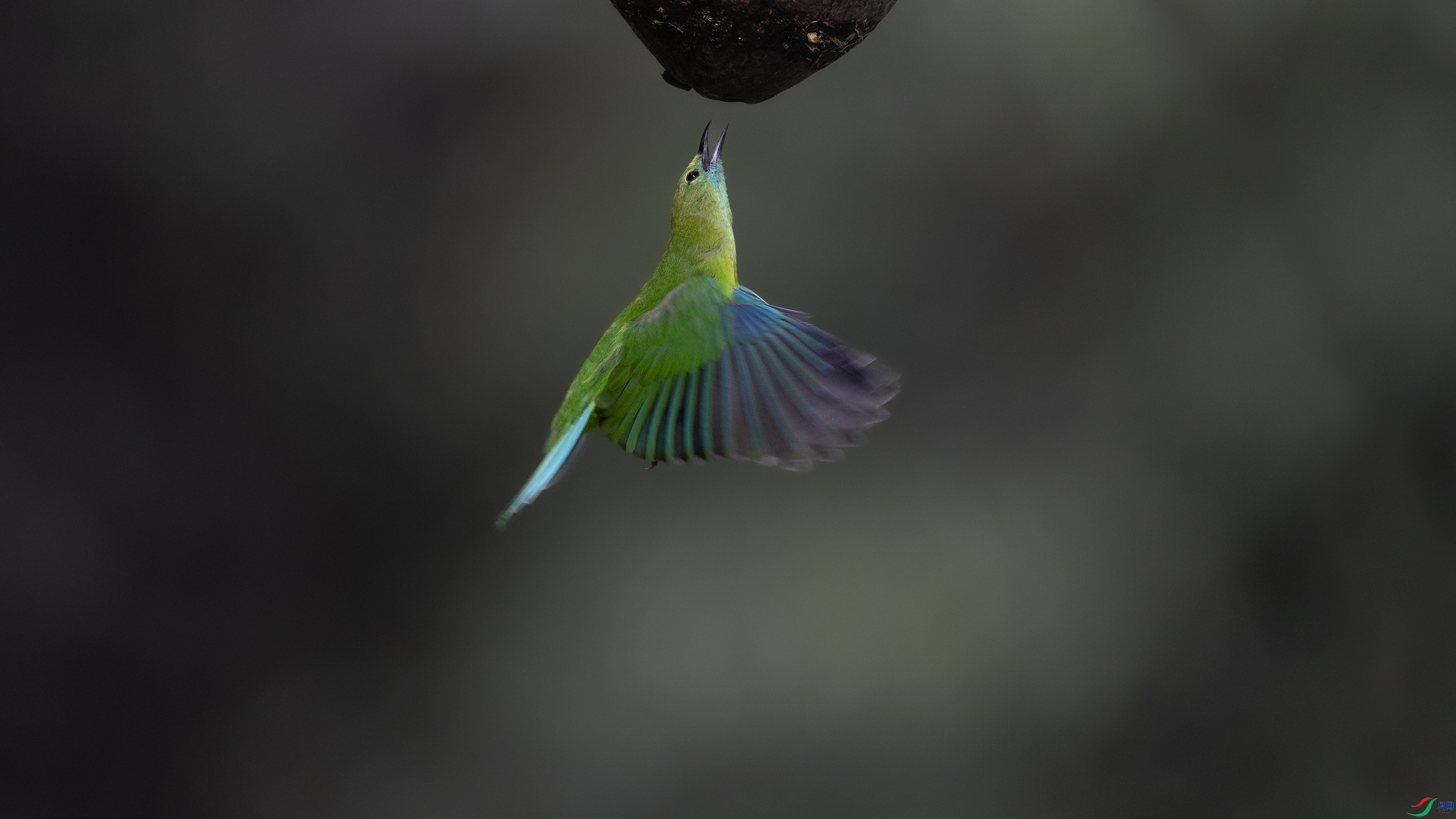 _O7A0140 ����44.jpg