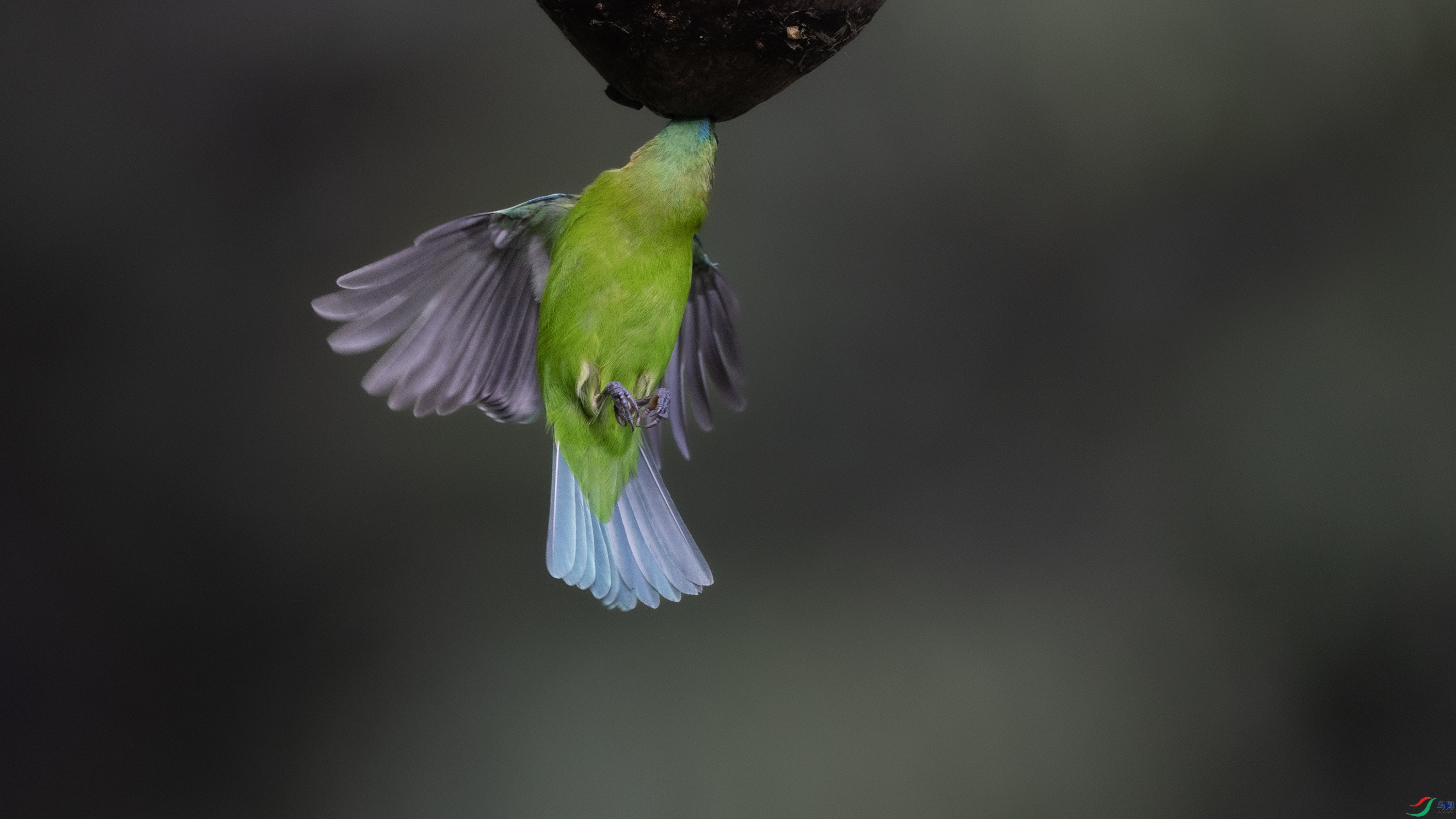 _O7A0141 ����44.jpg