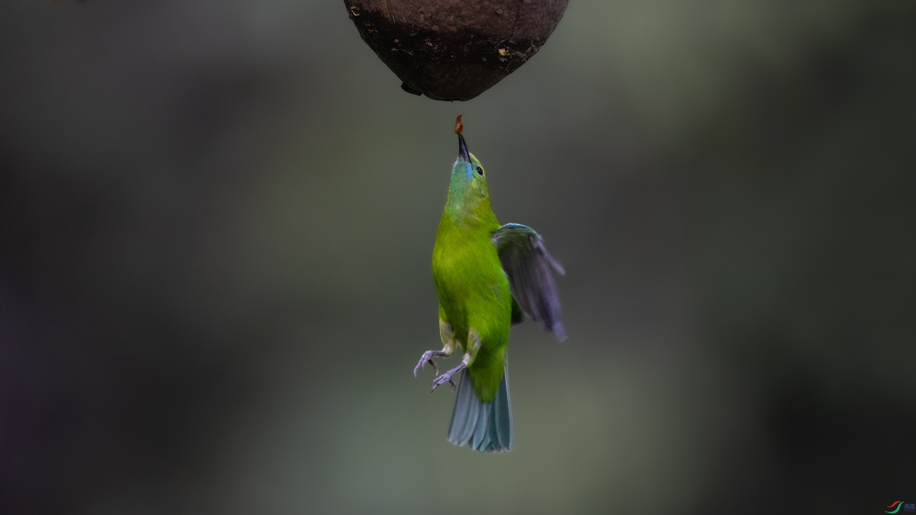 _O7A0145 ����4544.jpg