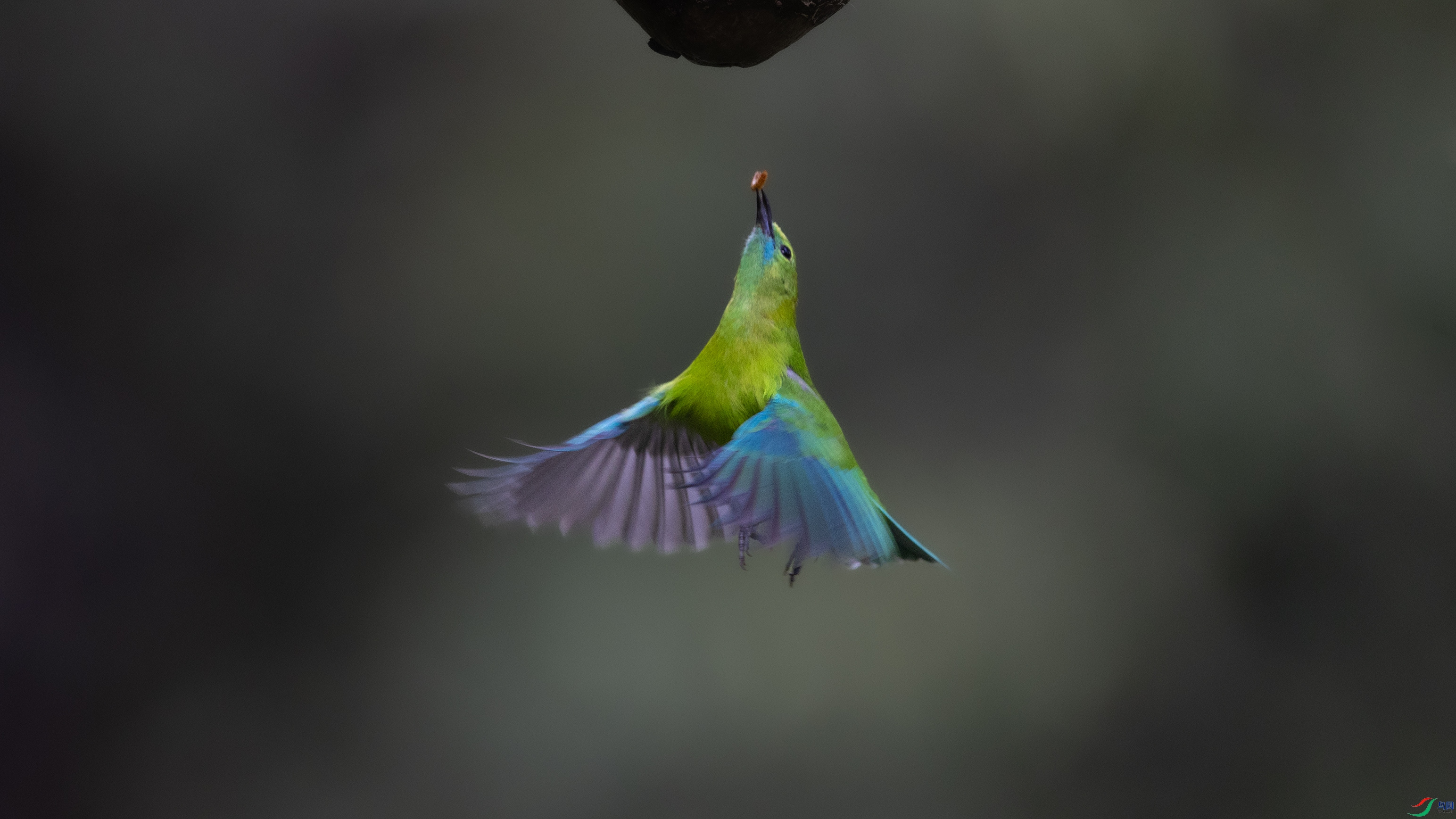 _O7A0146 ��4444.jpg