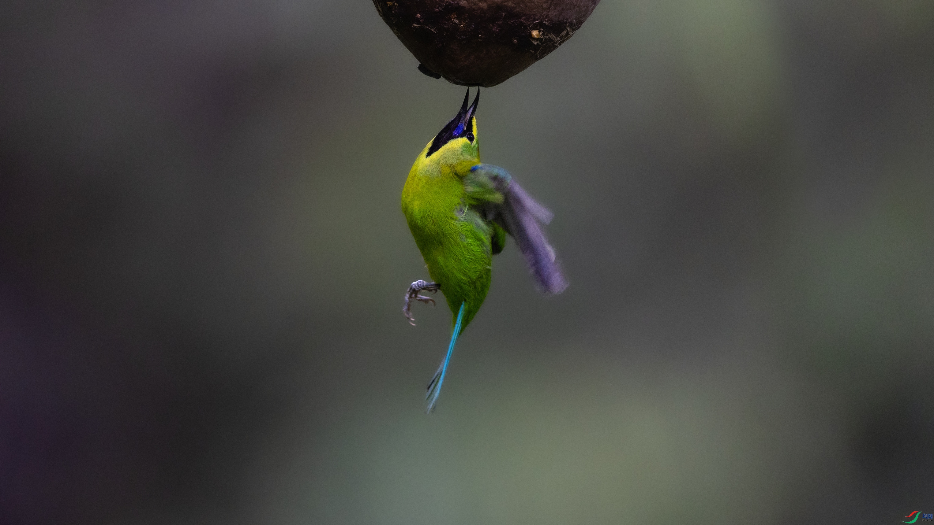 _O7A0167 ��4444.jpg