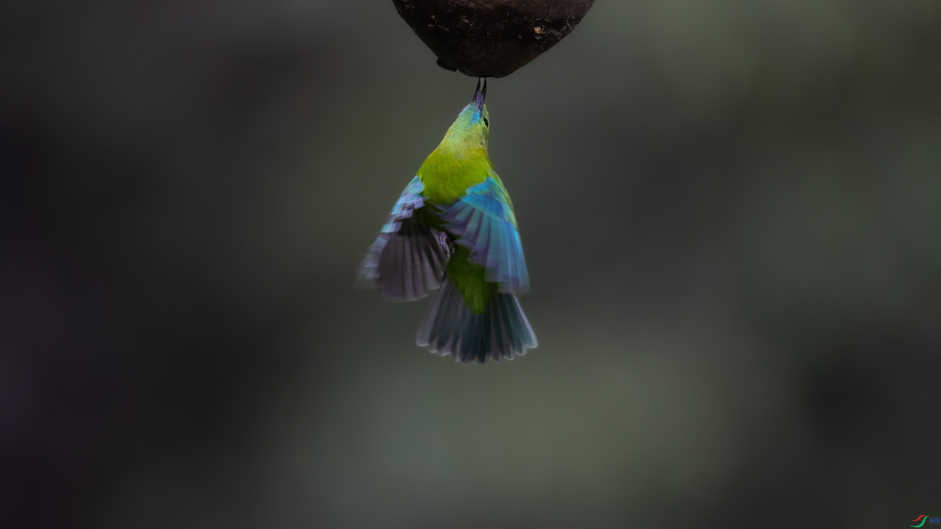 _O7A0143 ����4444.jpg