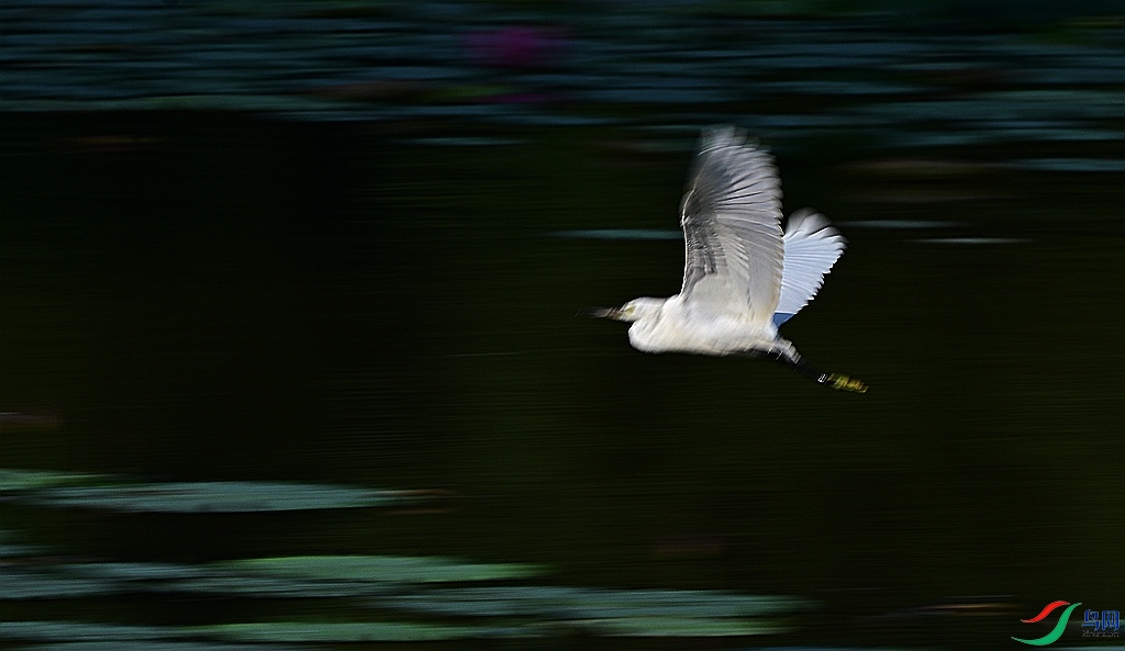 DSC_6547.JPG