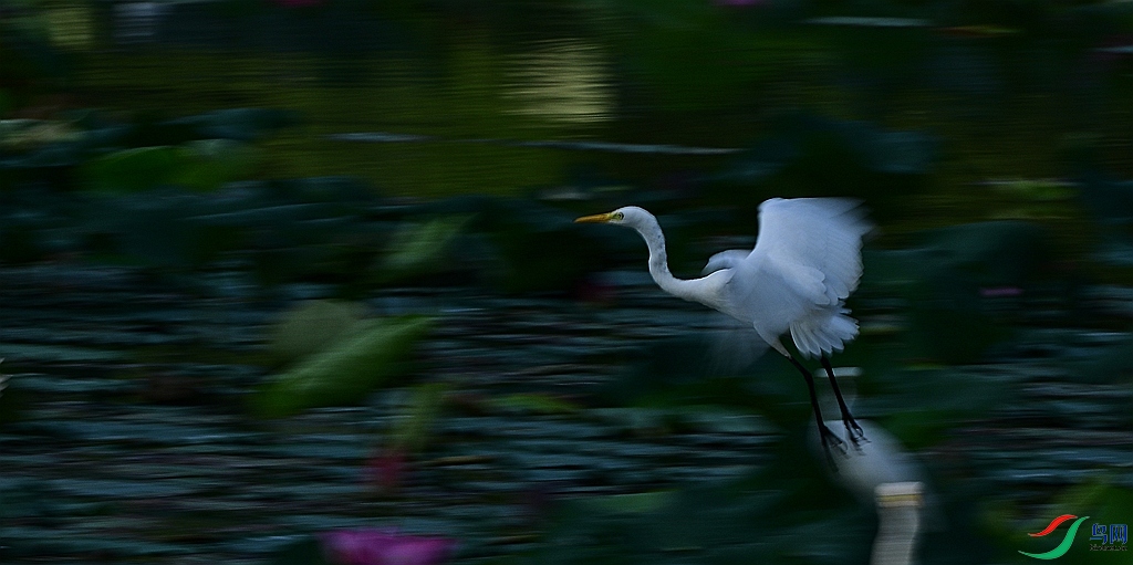 DSC_6558.JPG