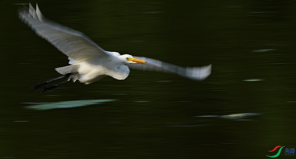 DSC_7349.JPG