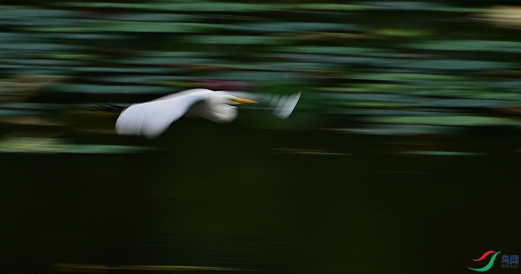 DSC_8119.JPG
