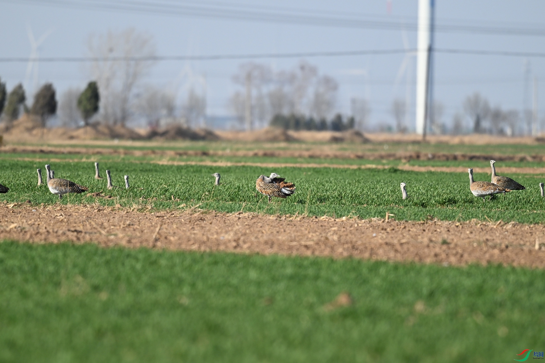 DSC_9928.JPG