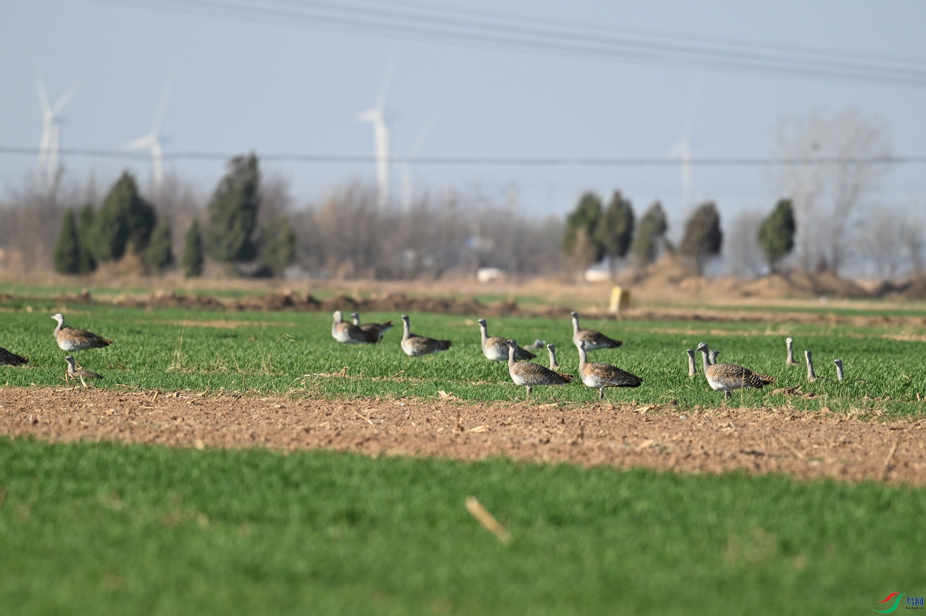 DSC_9916.JPG
