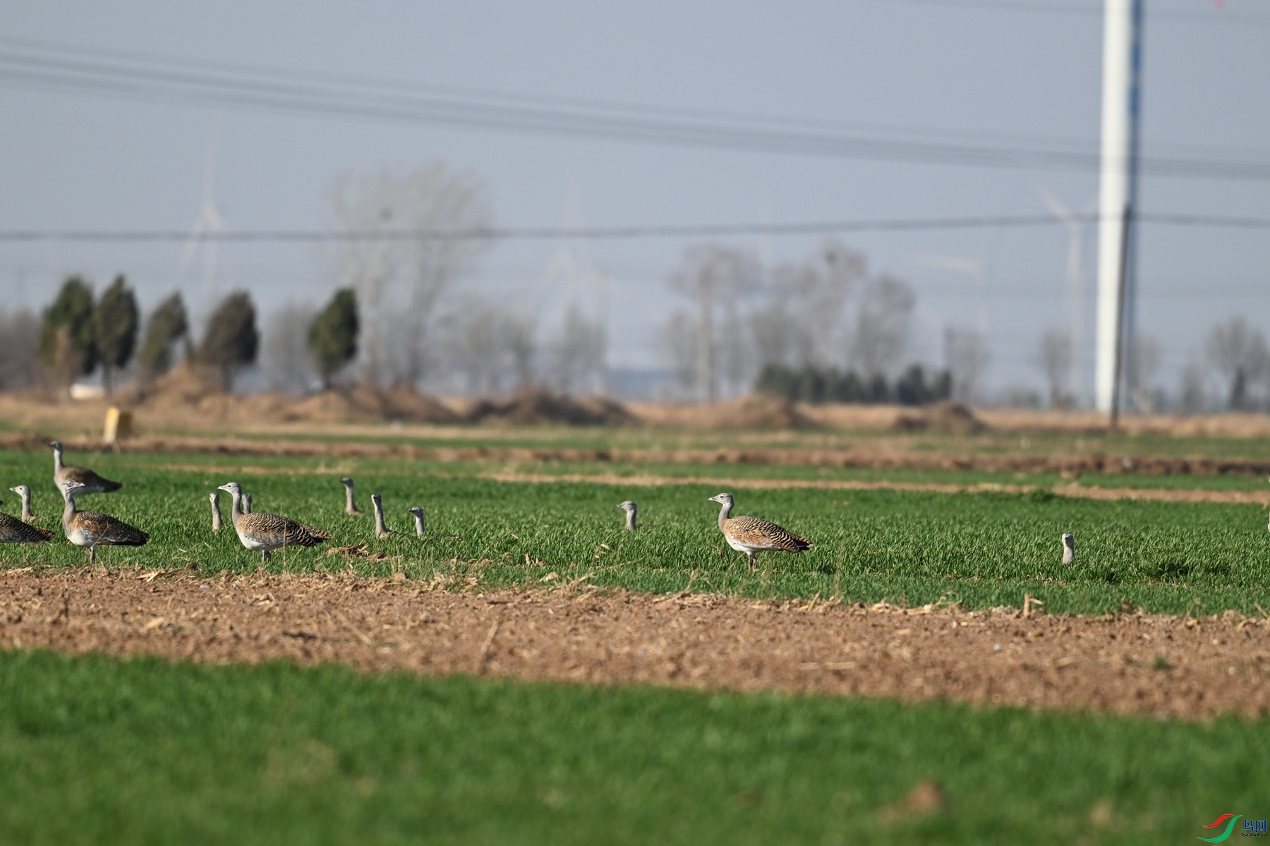 DSC_9919.JPG