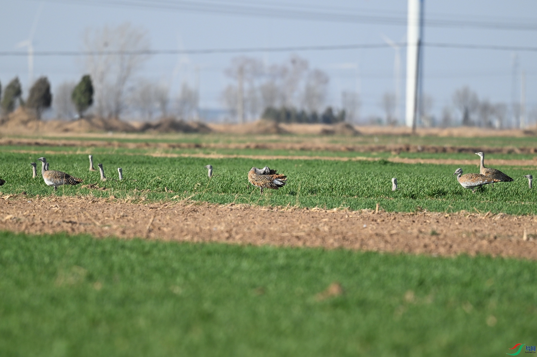 DSC_9923.JPG
