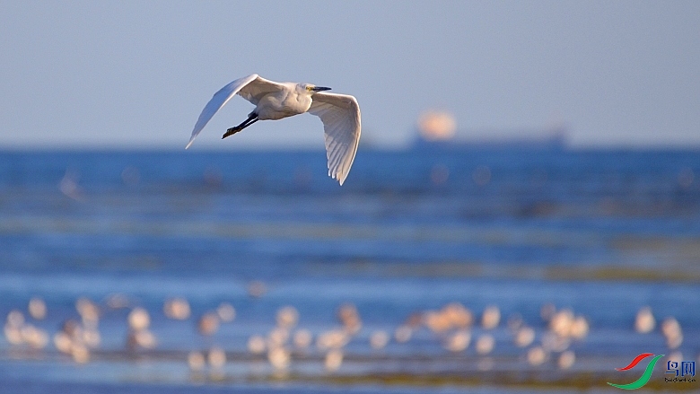 DSC_0037_10.jpg