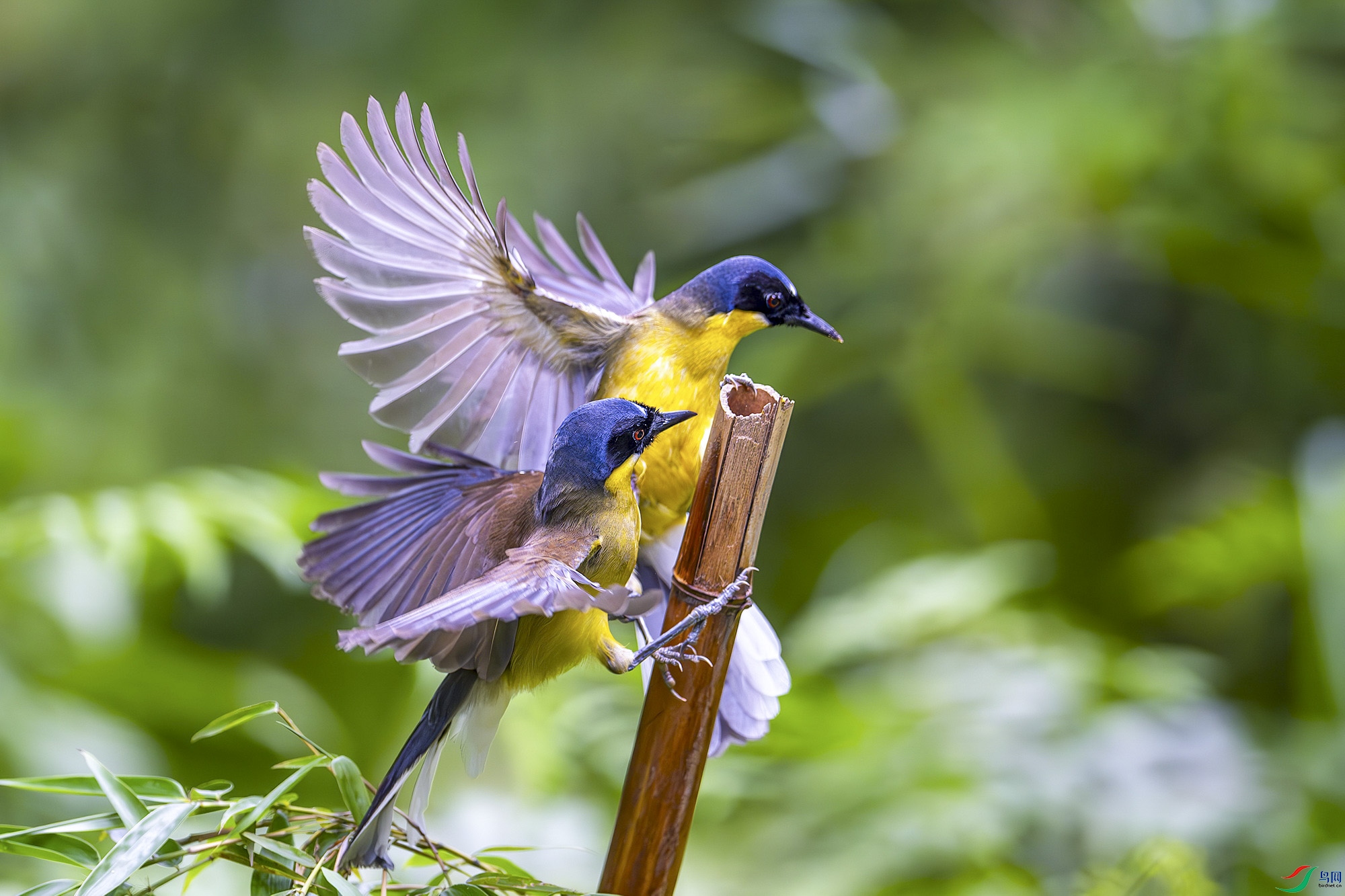 _DSC6956.jpg