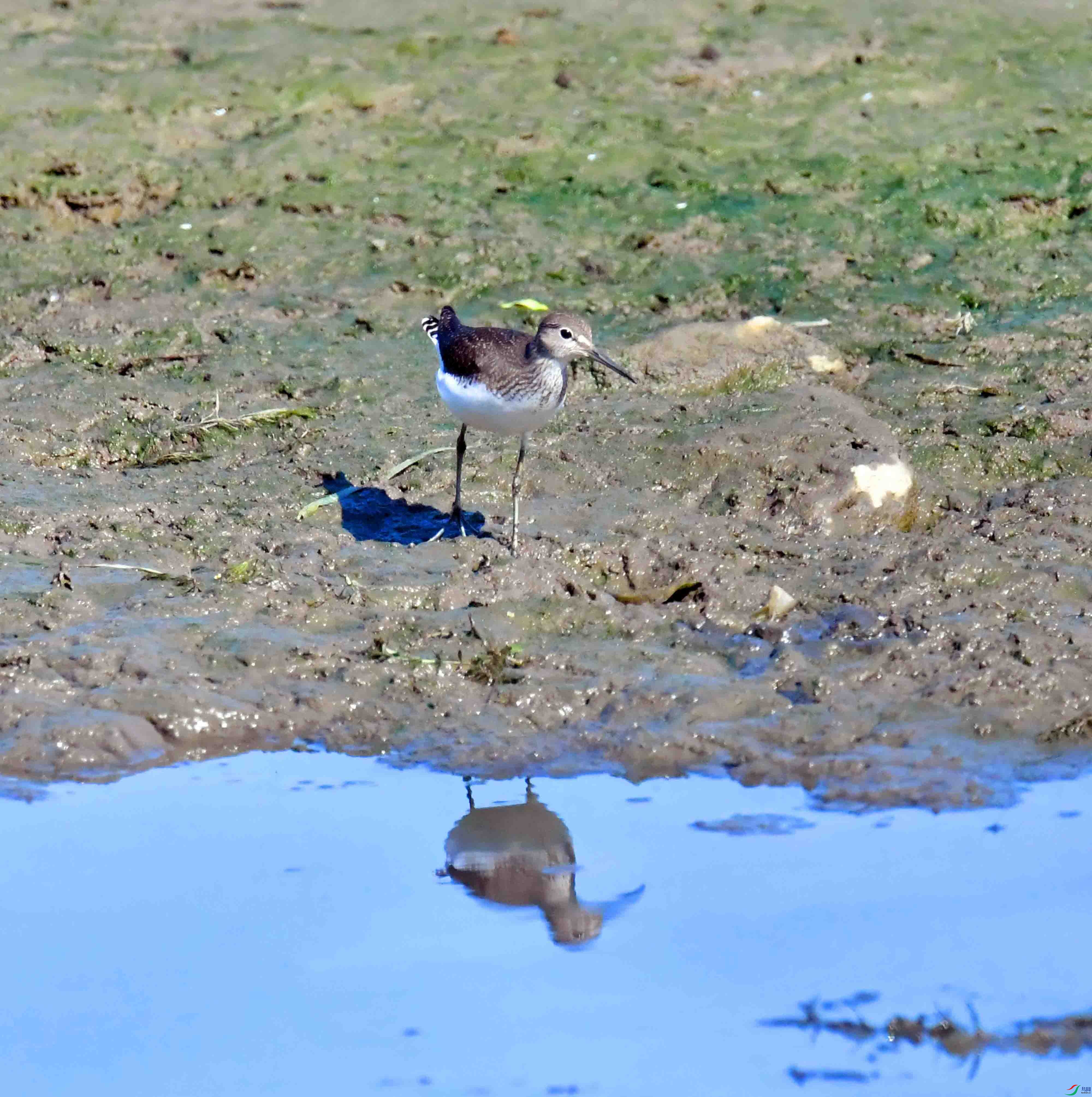 DSC_5599.JPG