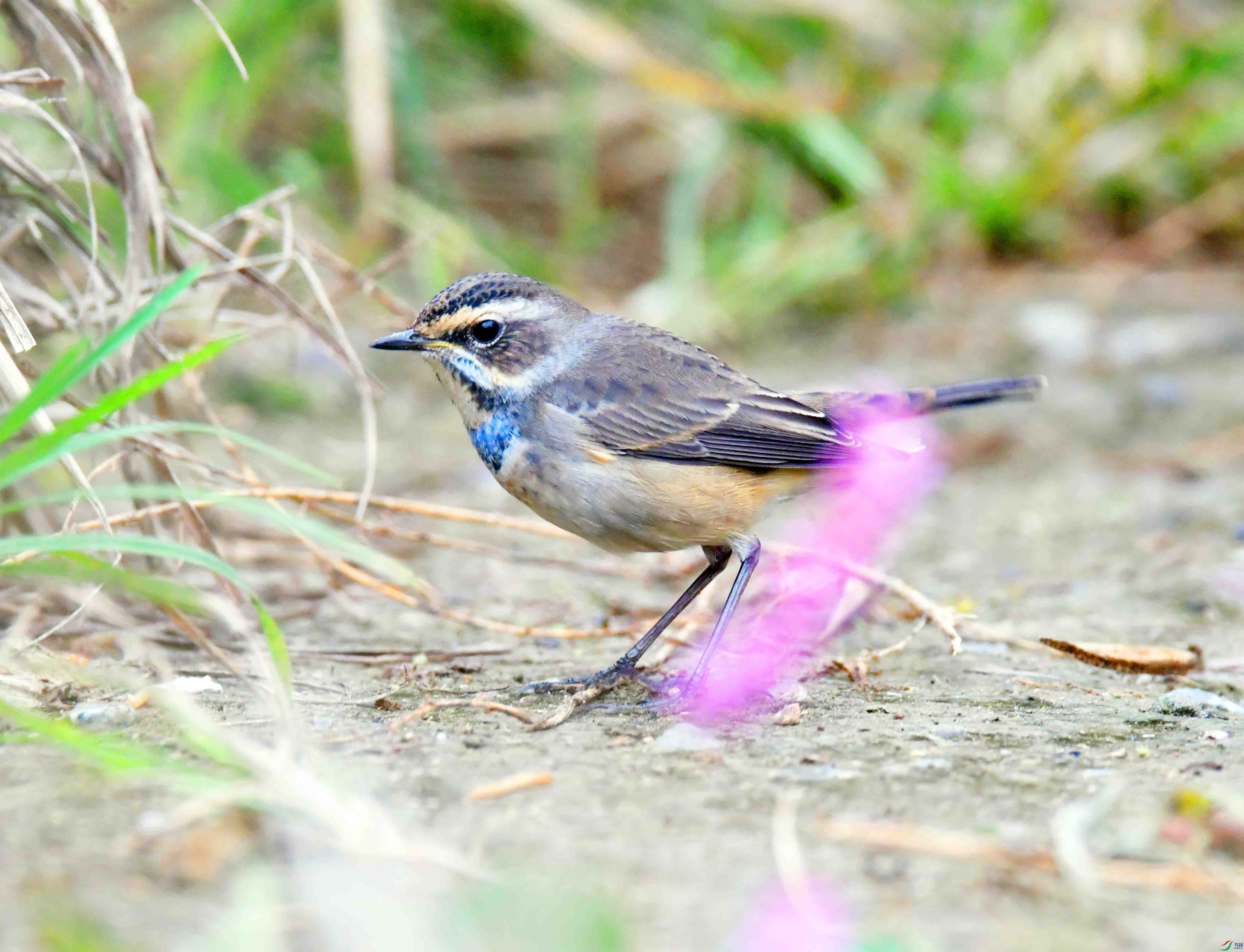 DSC_2359.JPG