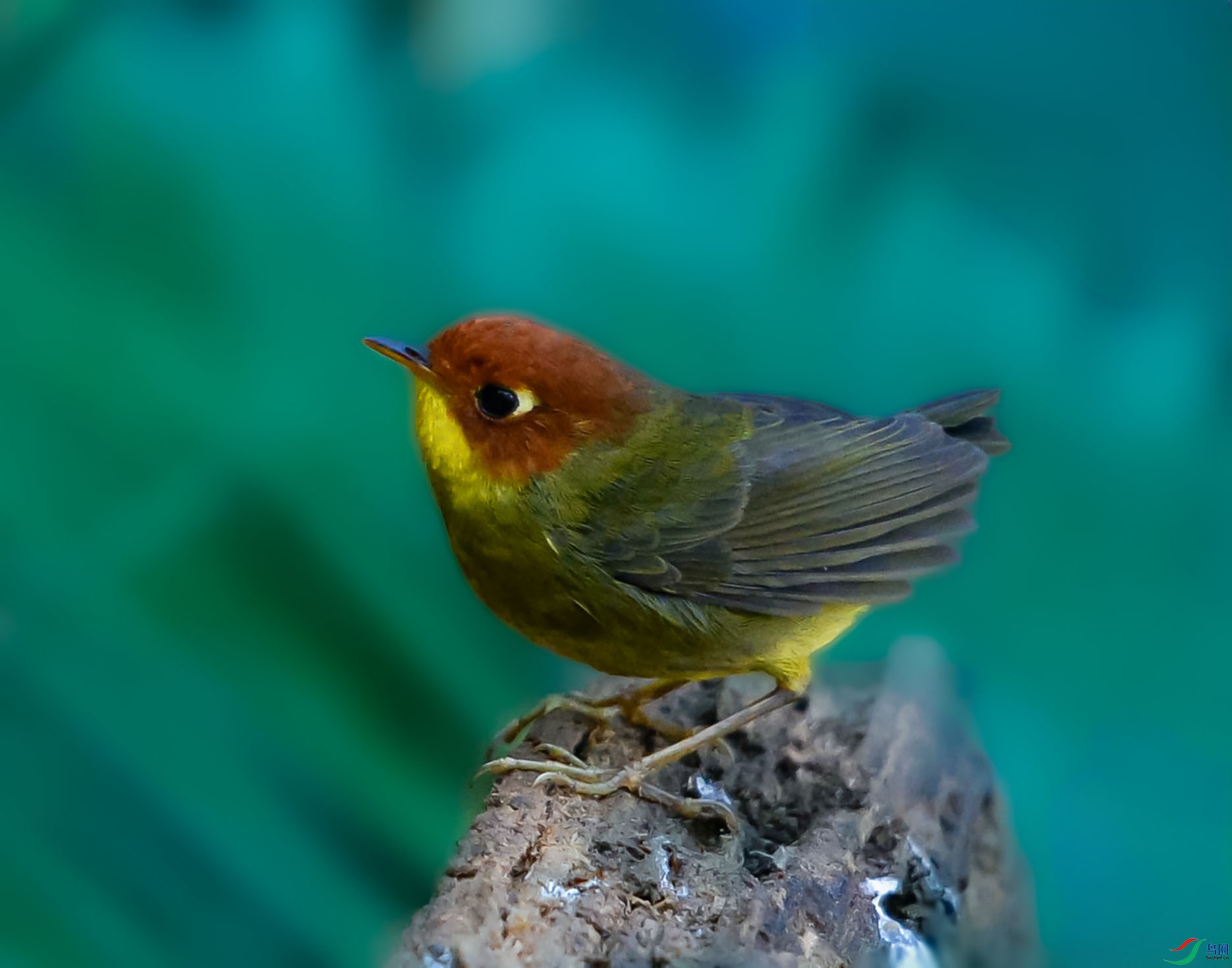 DSC_4021_���ٿ�ͼ(1)����.jpg
