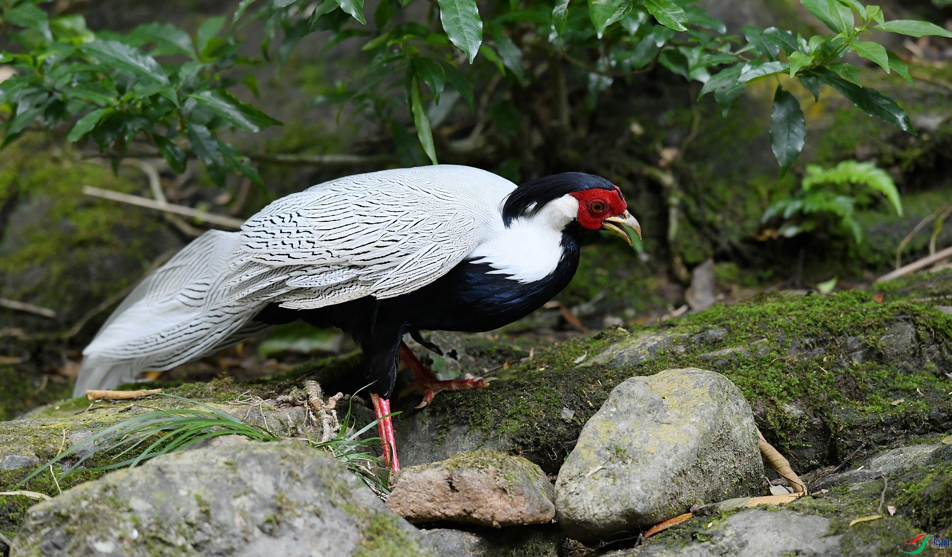DSC_2648.jpg