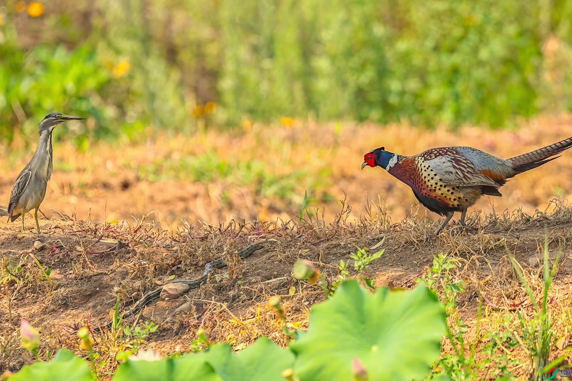 8��29�� (1)-1.jpg