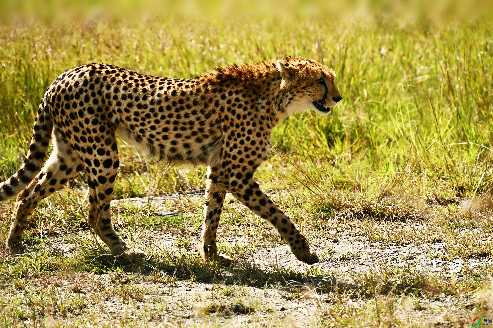 DSC_8189 - ����_.jpg