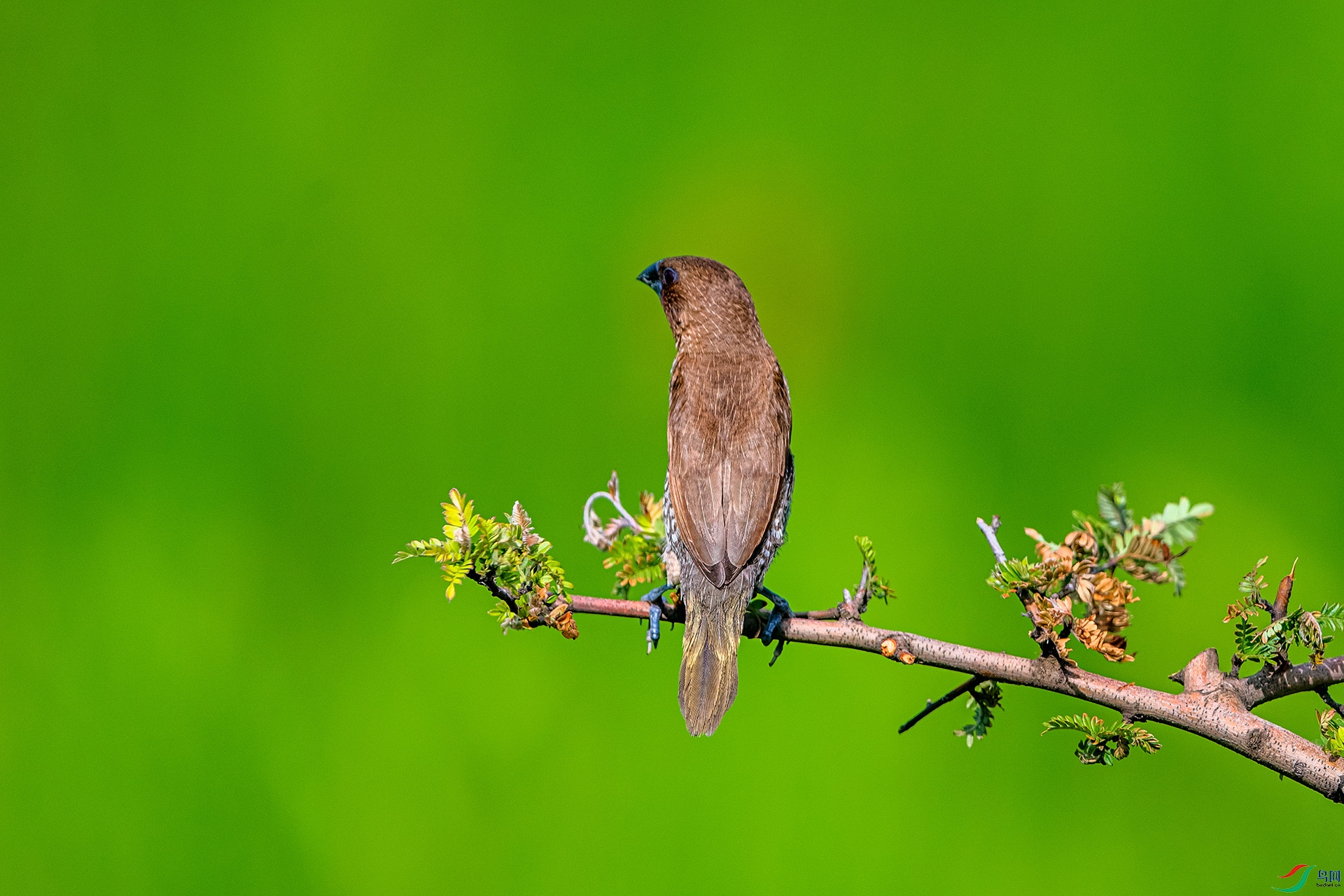 _AUU6227 ������(25.7.7).jpg