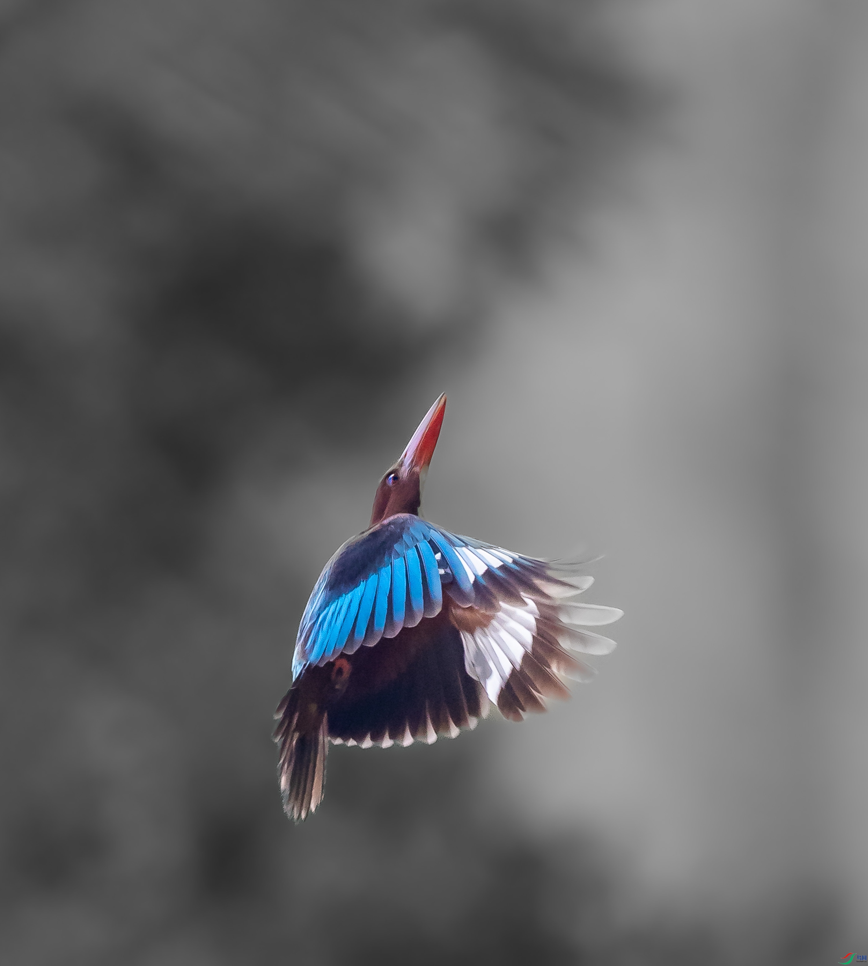 0I3A8800����_1.jpg