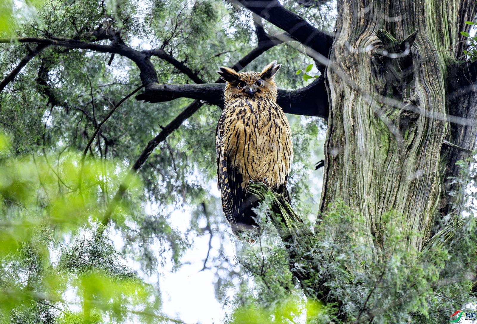 �������^-1 (15)-01.jpg