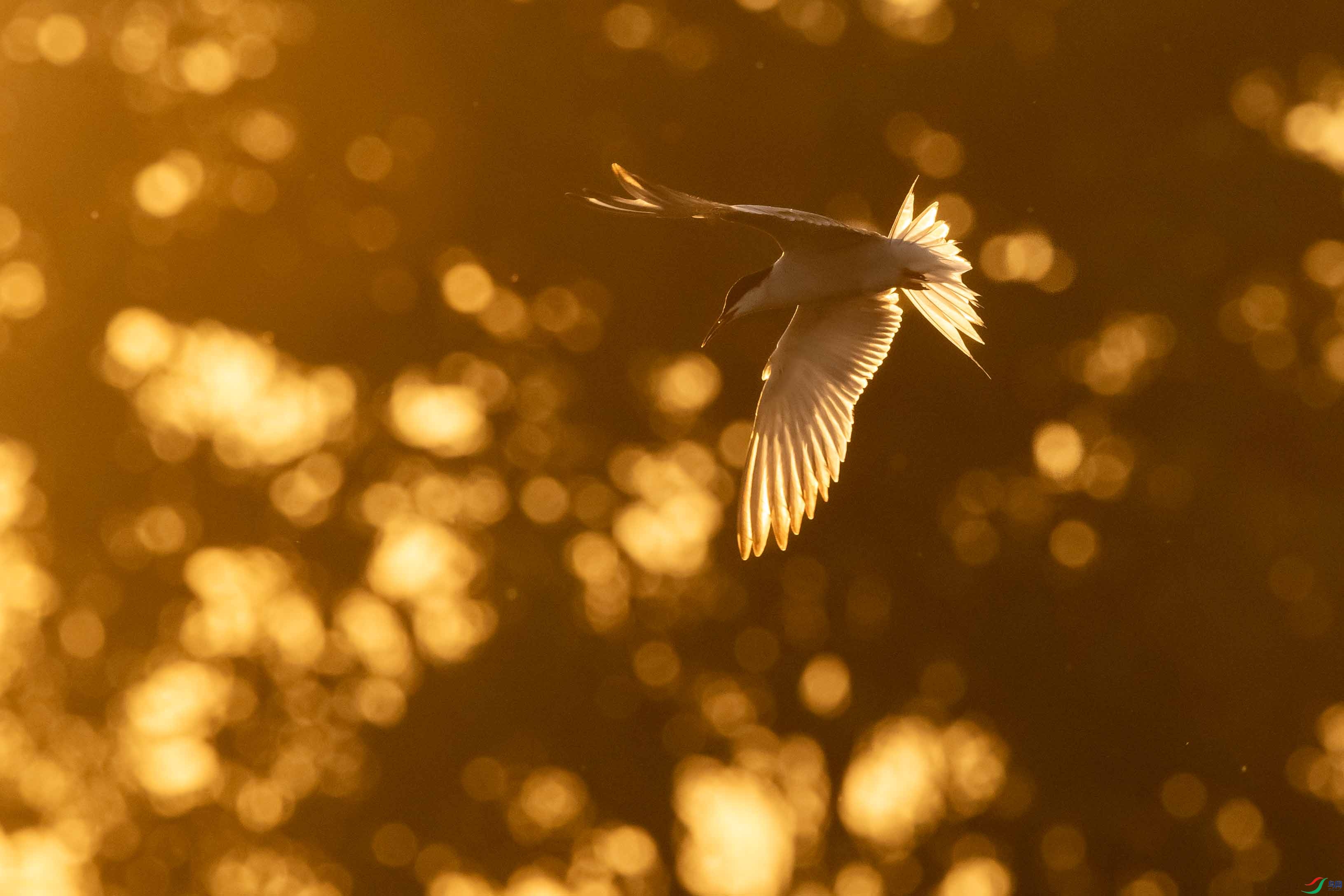 DSC_7215 ����.jpg