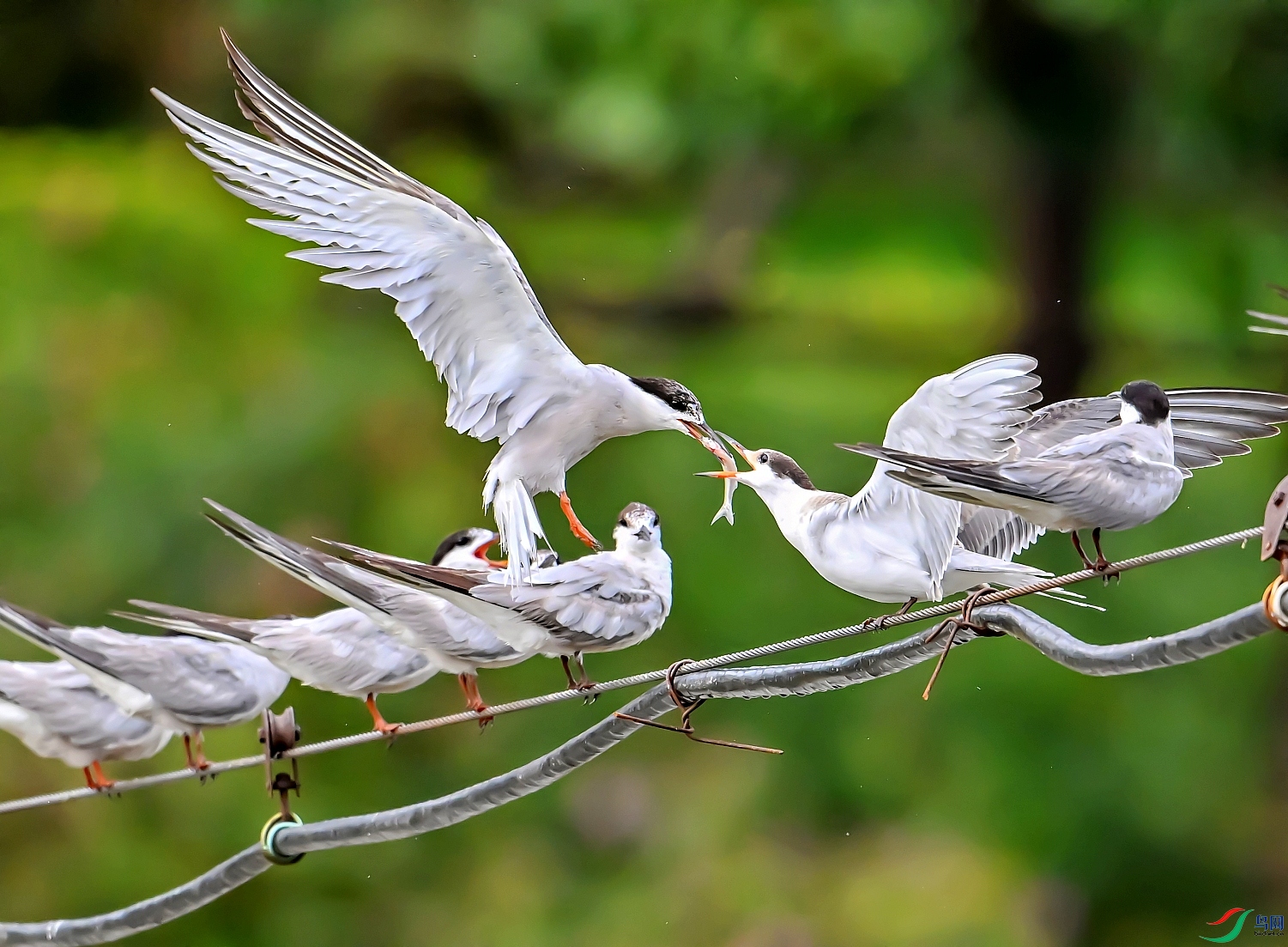 DSC_1534---_conew1.jpg
