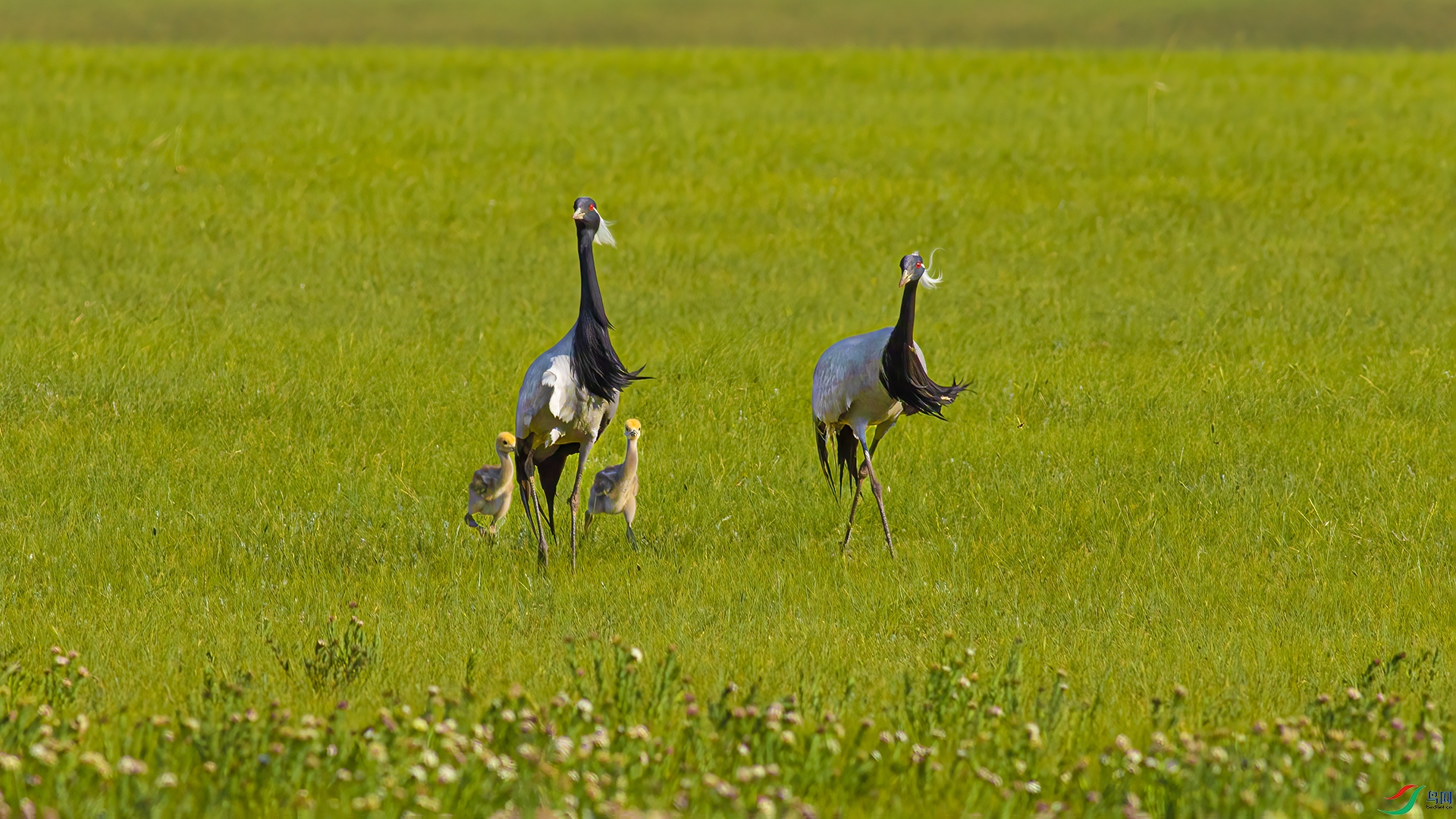һ����