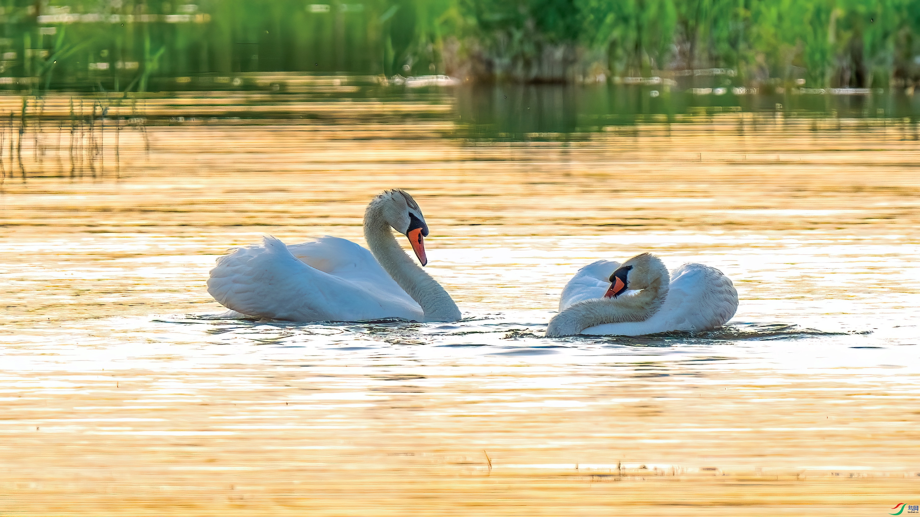 DSC_2657-����ǿ-NR.jpg