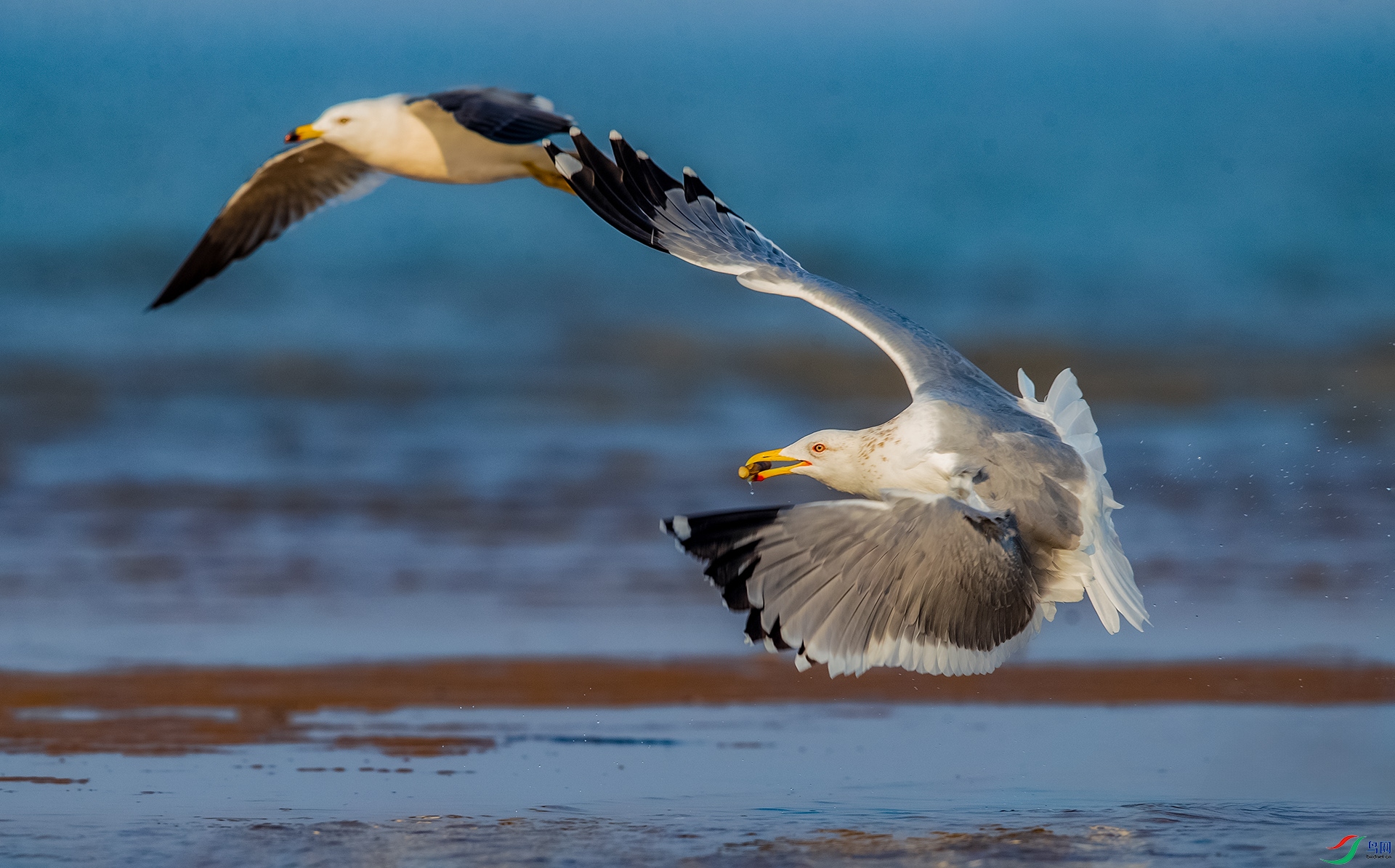 AK8I0102����  ���� 03.jpg