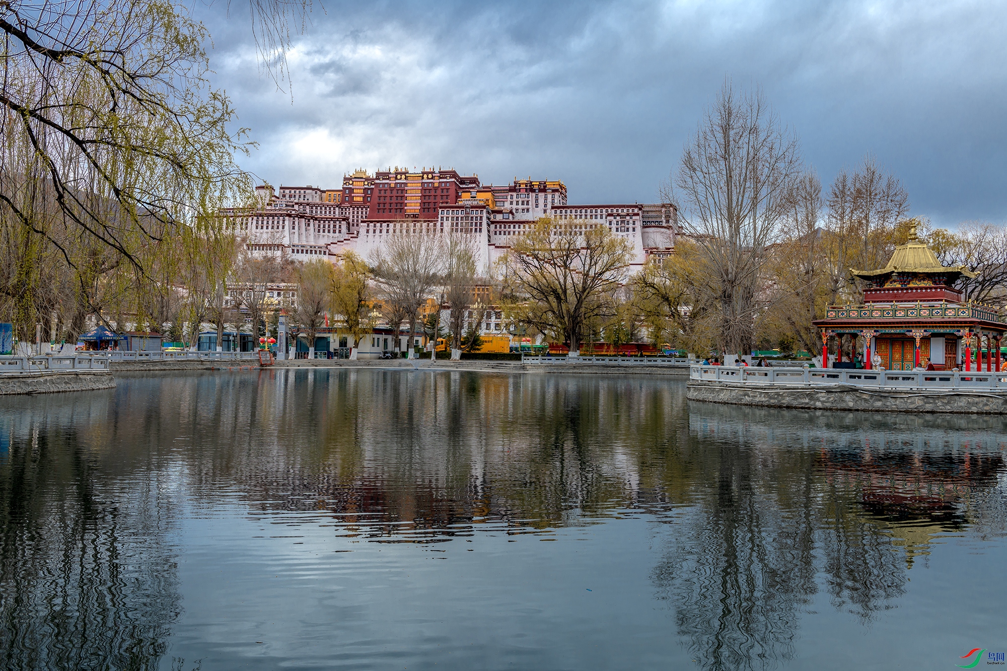 DSC_4802a.jpg