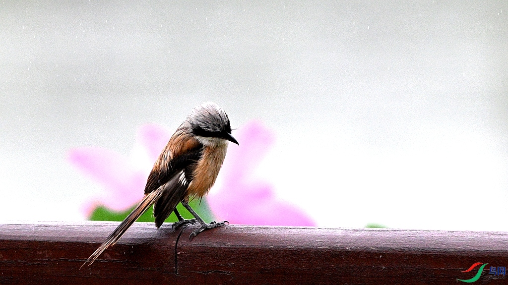 DSC_0853.JPG