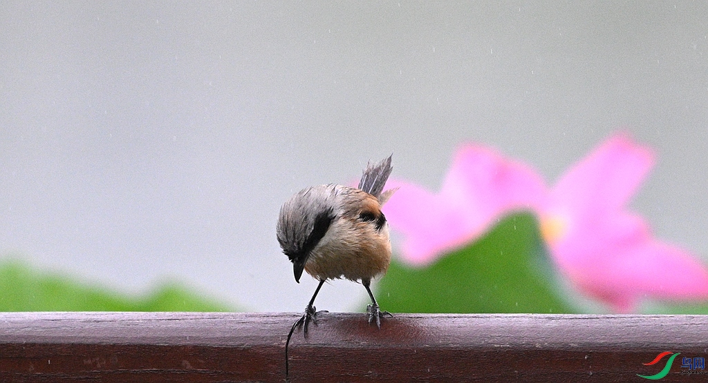 DSC_0858.JPG
