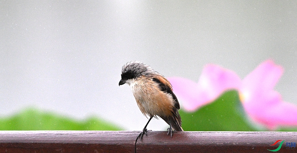 DSC_0863.JPG